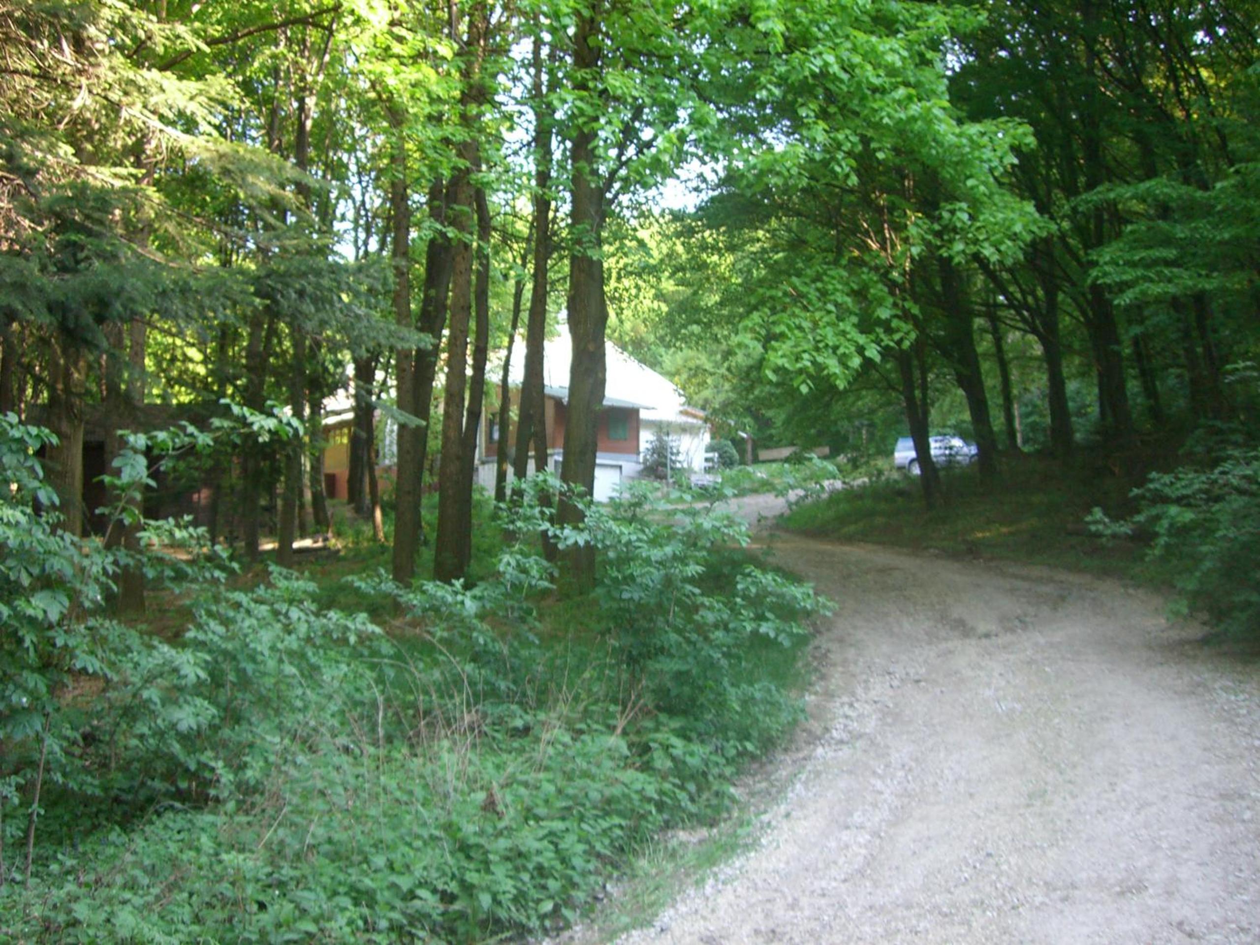 Photo 13