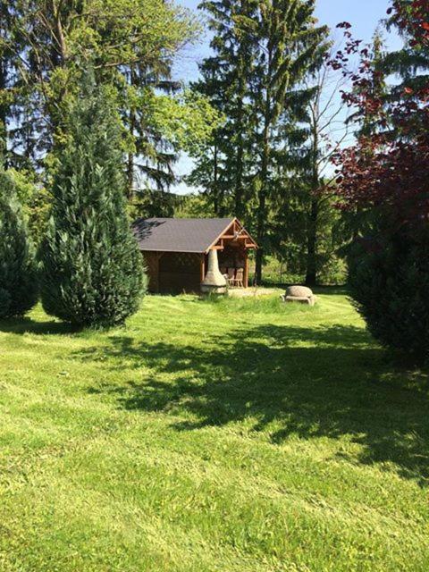 Photo 8