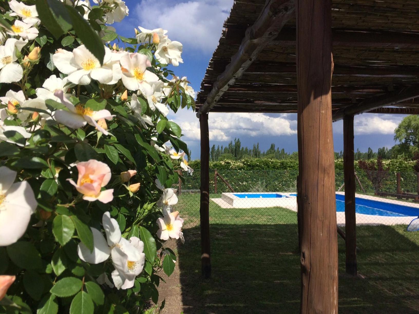 Cabañas La Cosecha