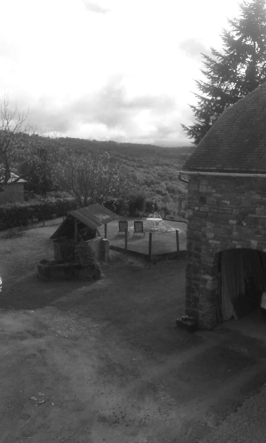 Un Air De Famille view 4