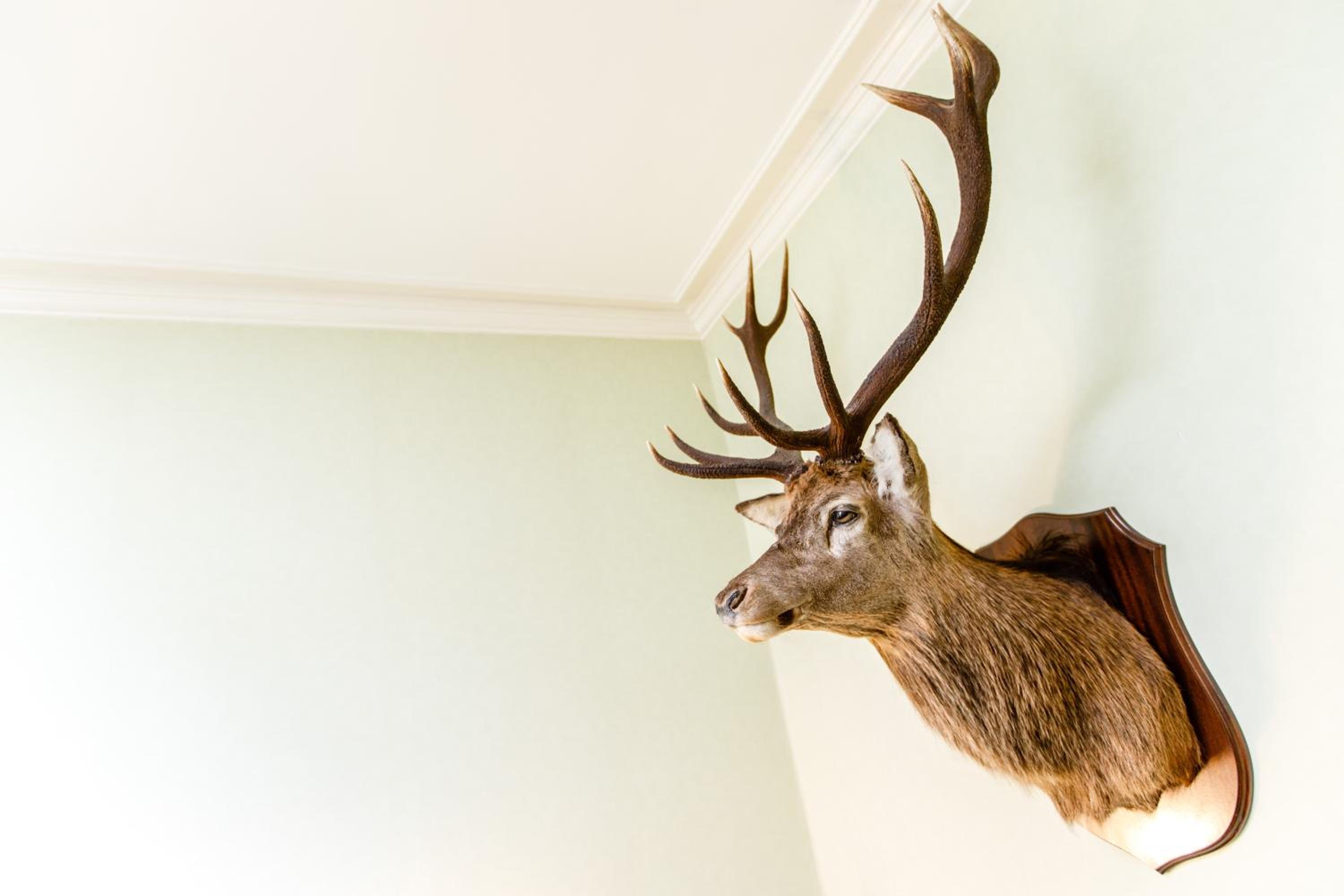 No 45, Ballater