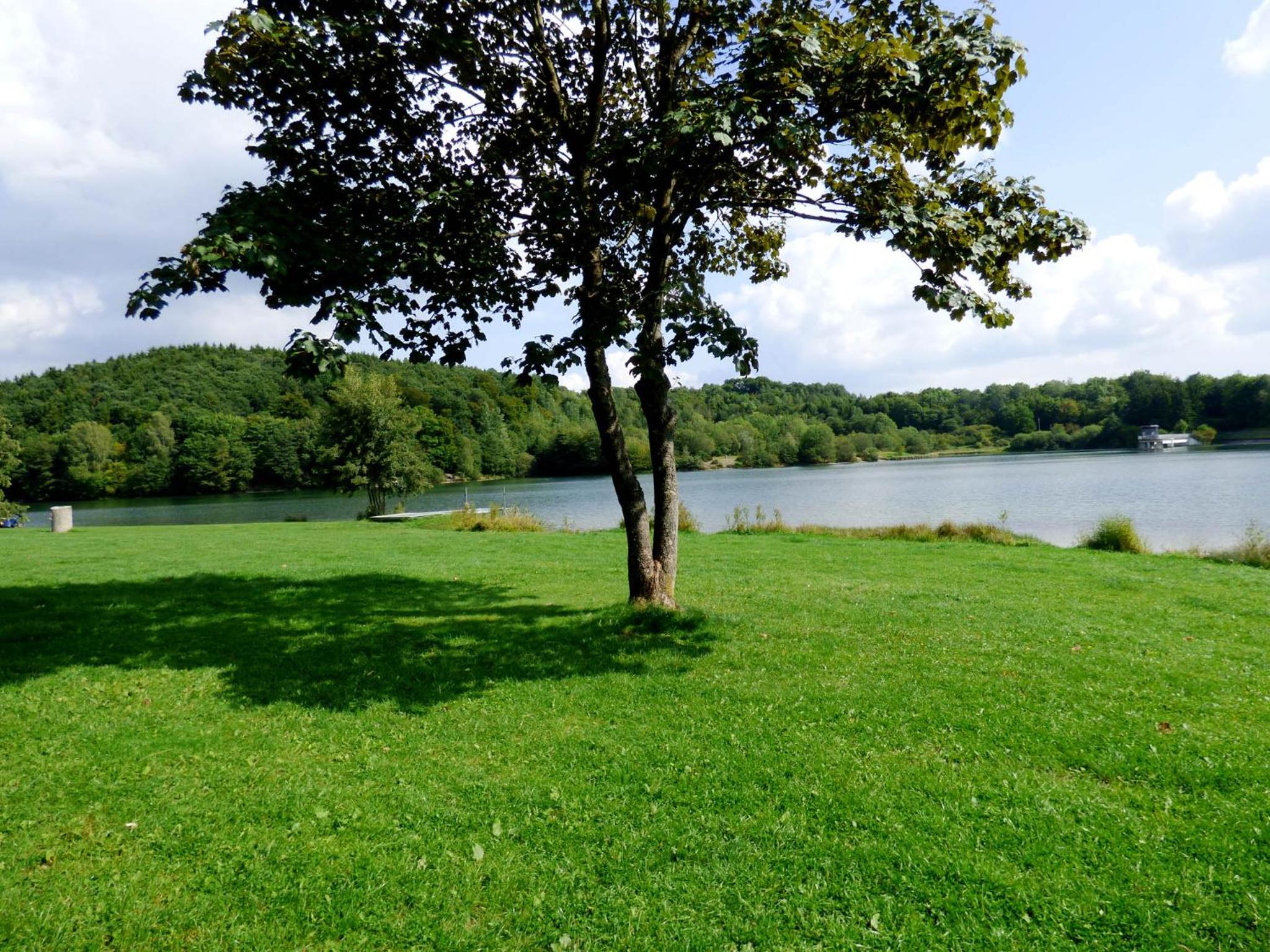 Relaxen am Nationalpark Eifel