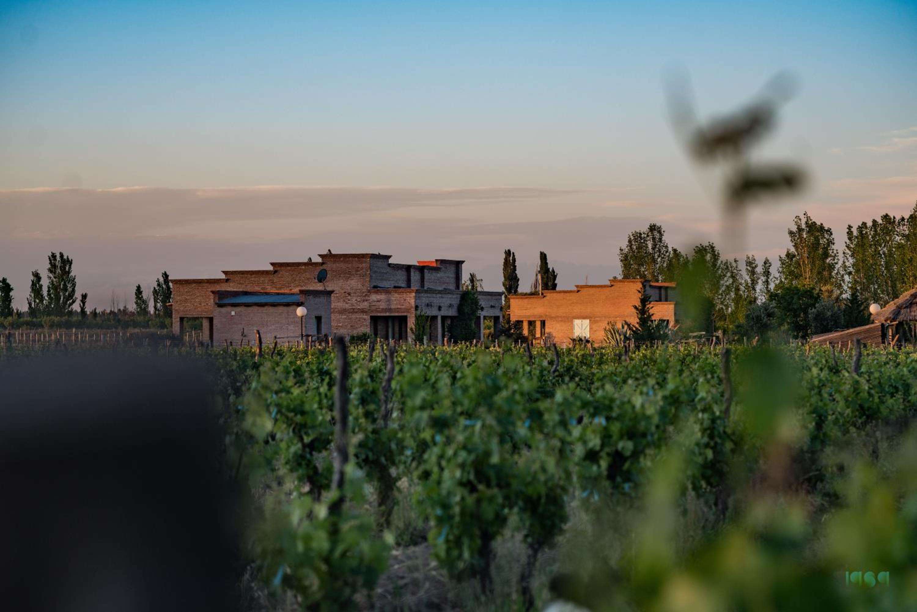 Finca La Carmelita