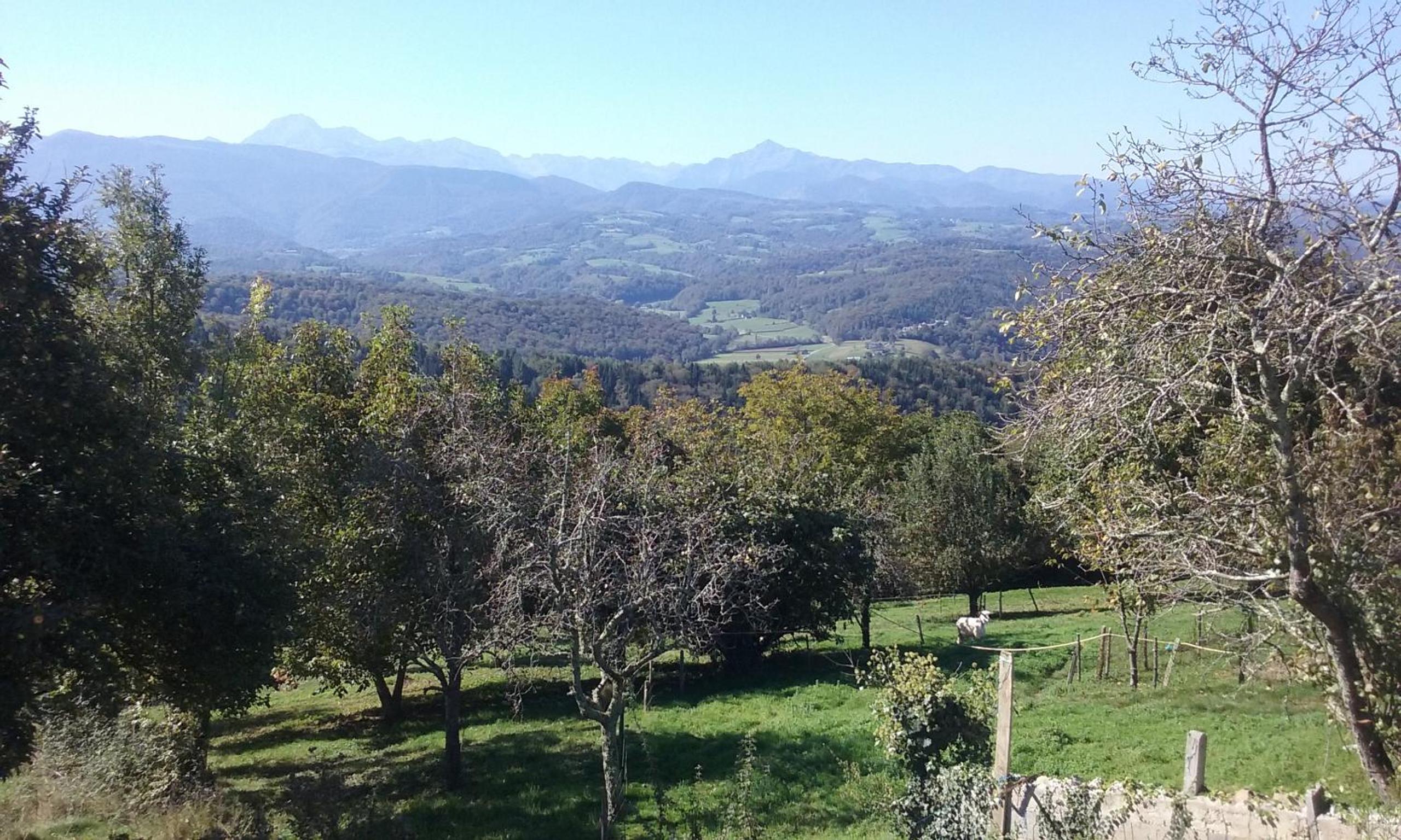 Un Air De Famille view 5