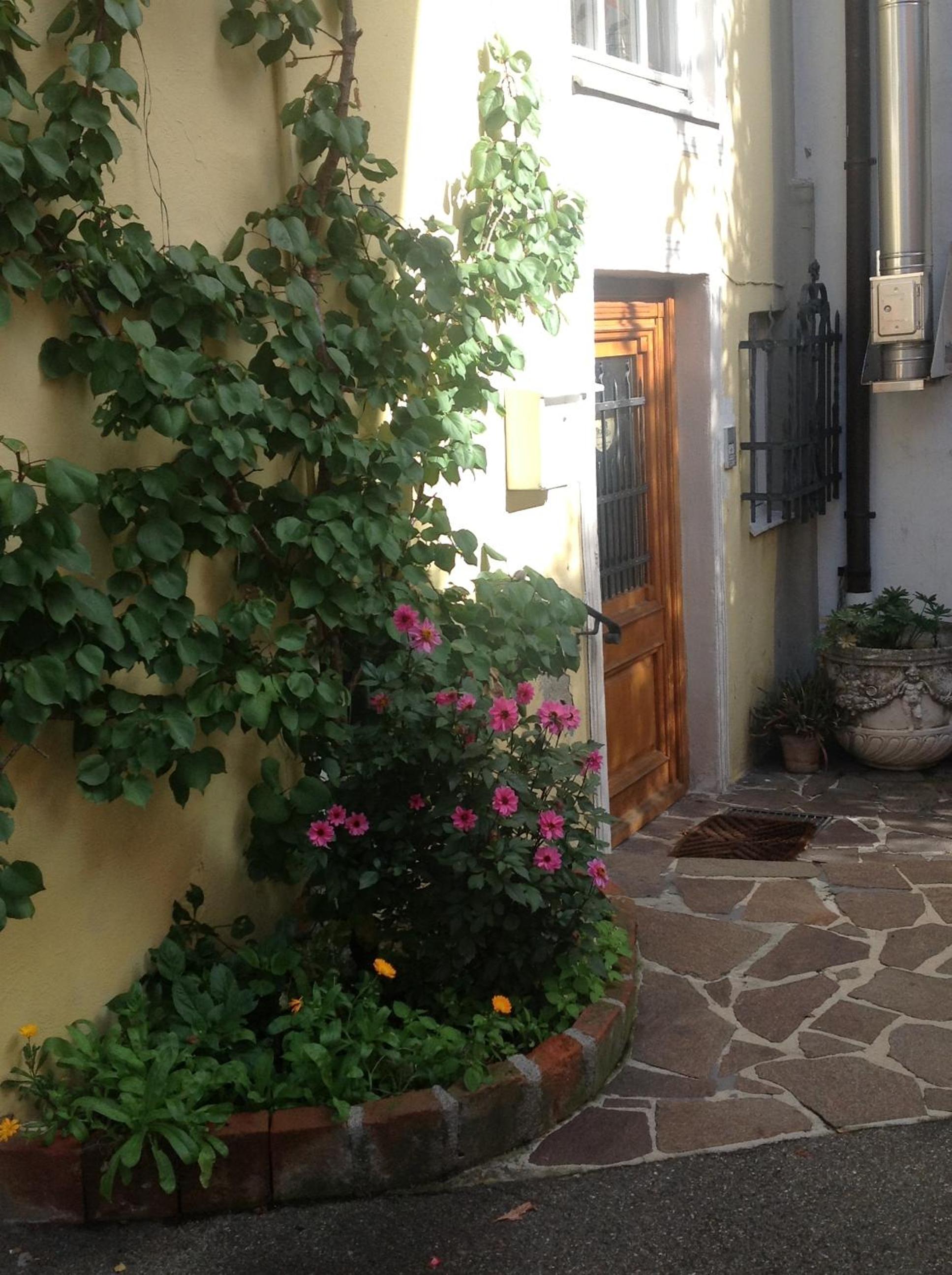 Photo 27