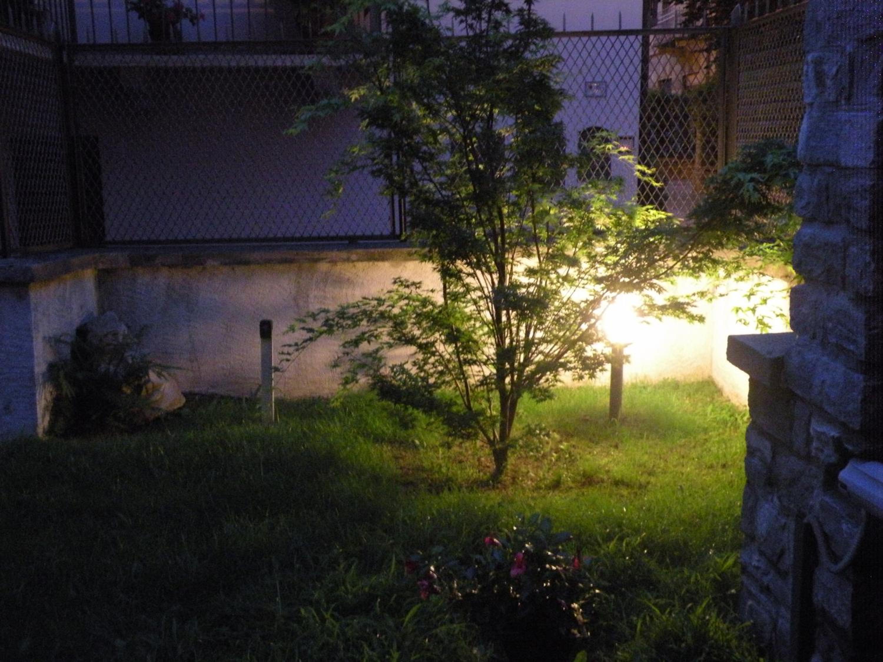 Photo 57