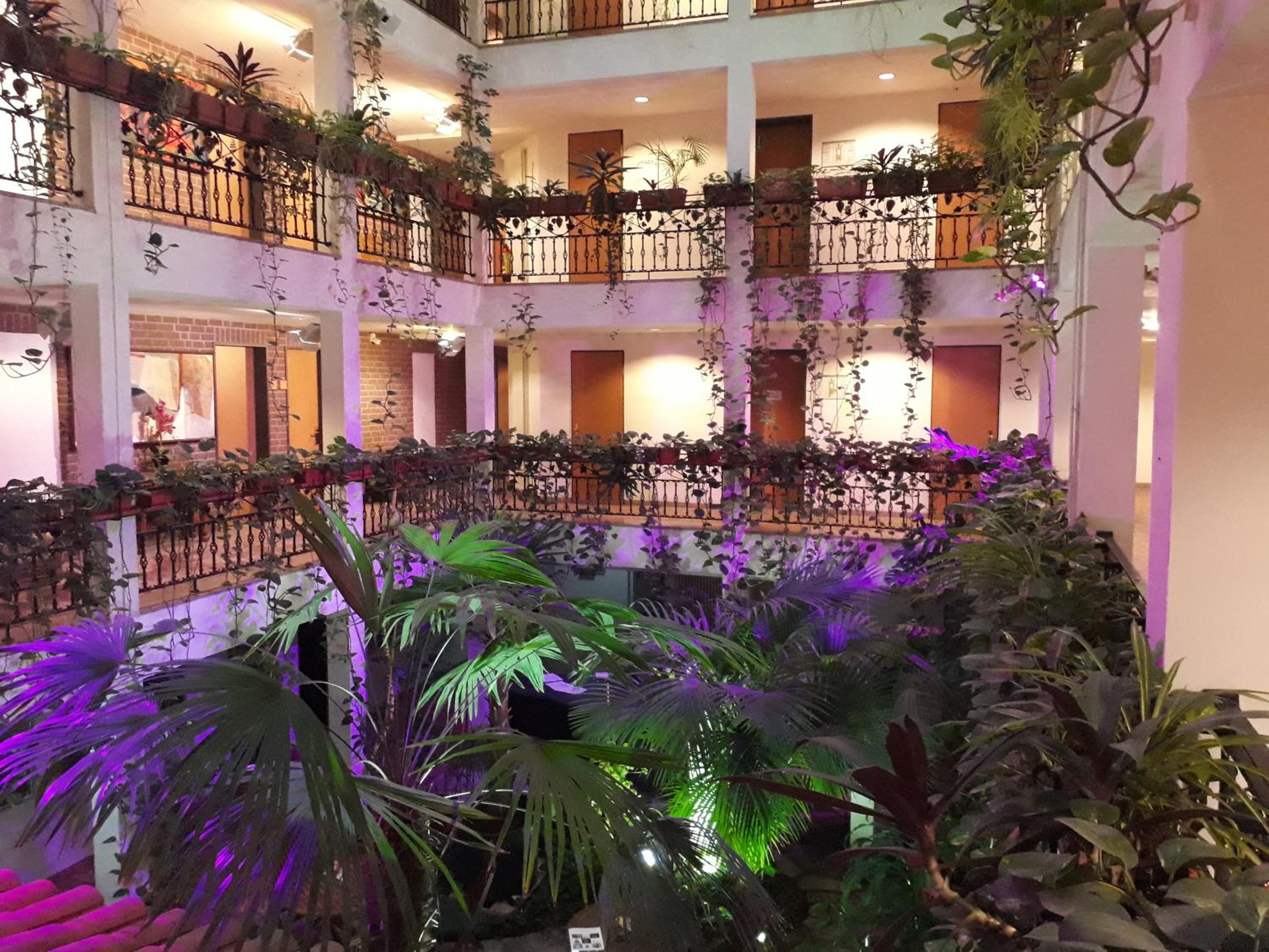 Berlin Vacations - Solitaire Hotel - Property Image 60