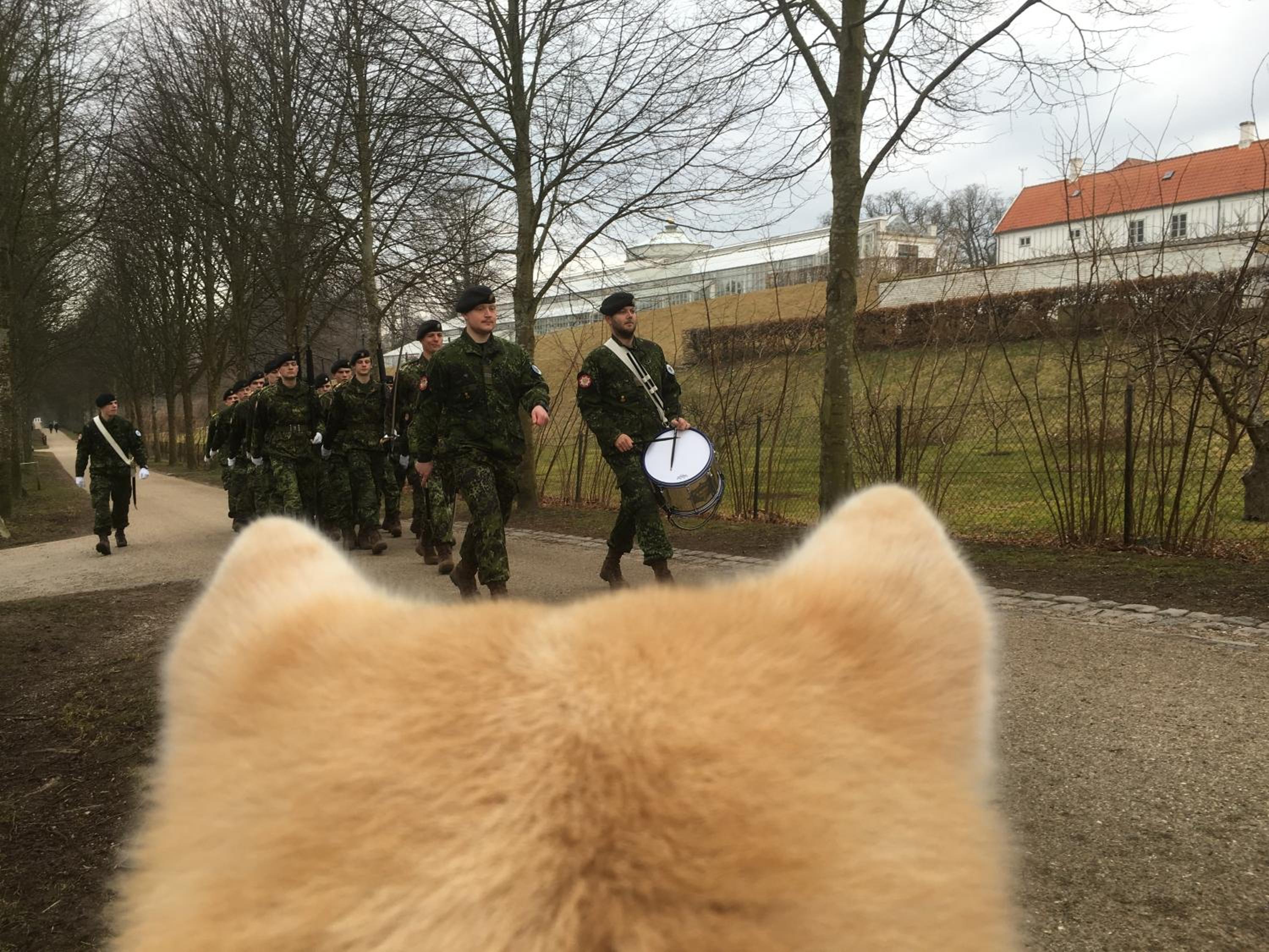 Fredensborg Vandrerhjem, i Kongens baghave