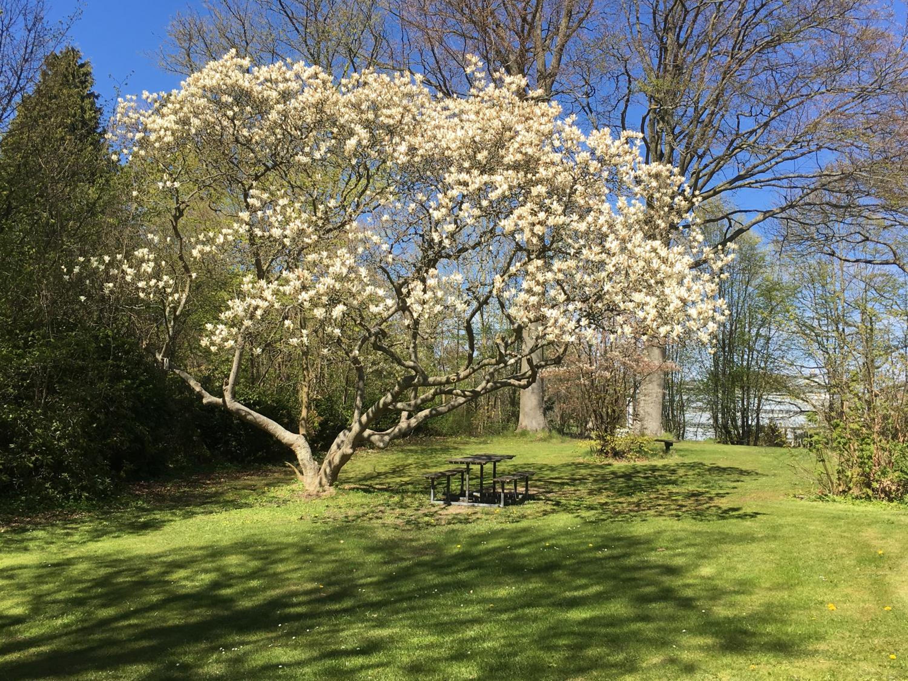 Fredensborg Vandrerhjem, i Kongens baghave
