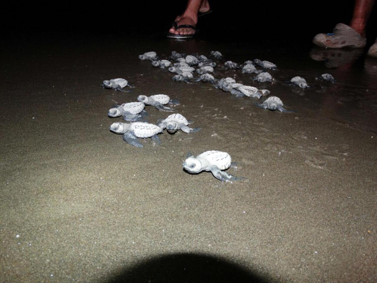 Posada Turística Rocas De Cabo Marzo
