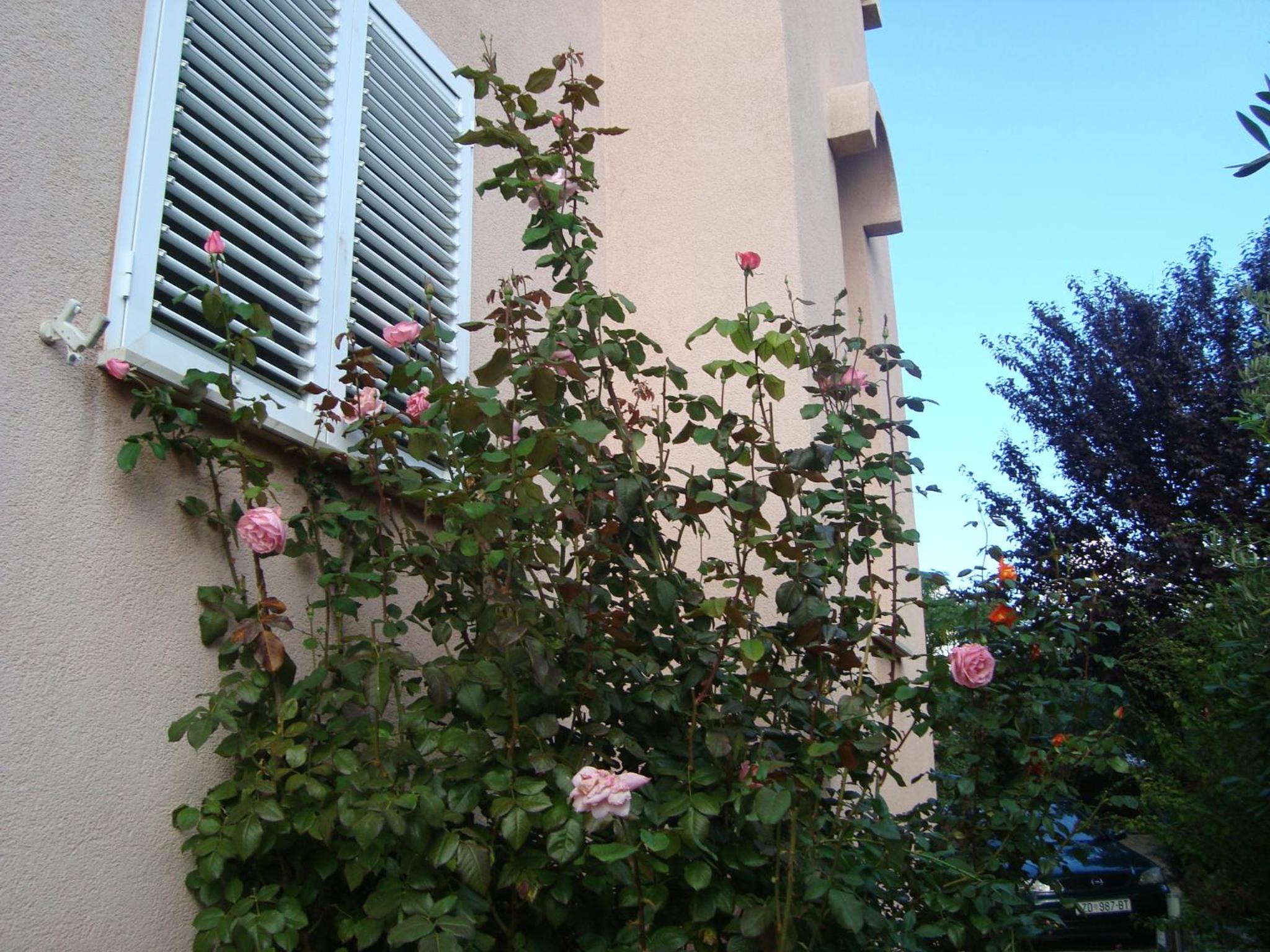 Photo 49