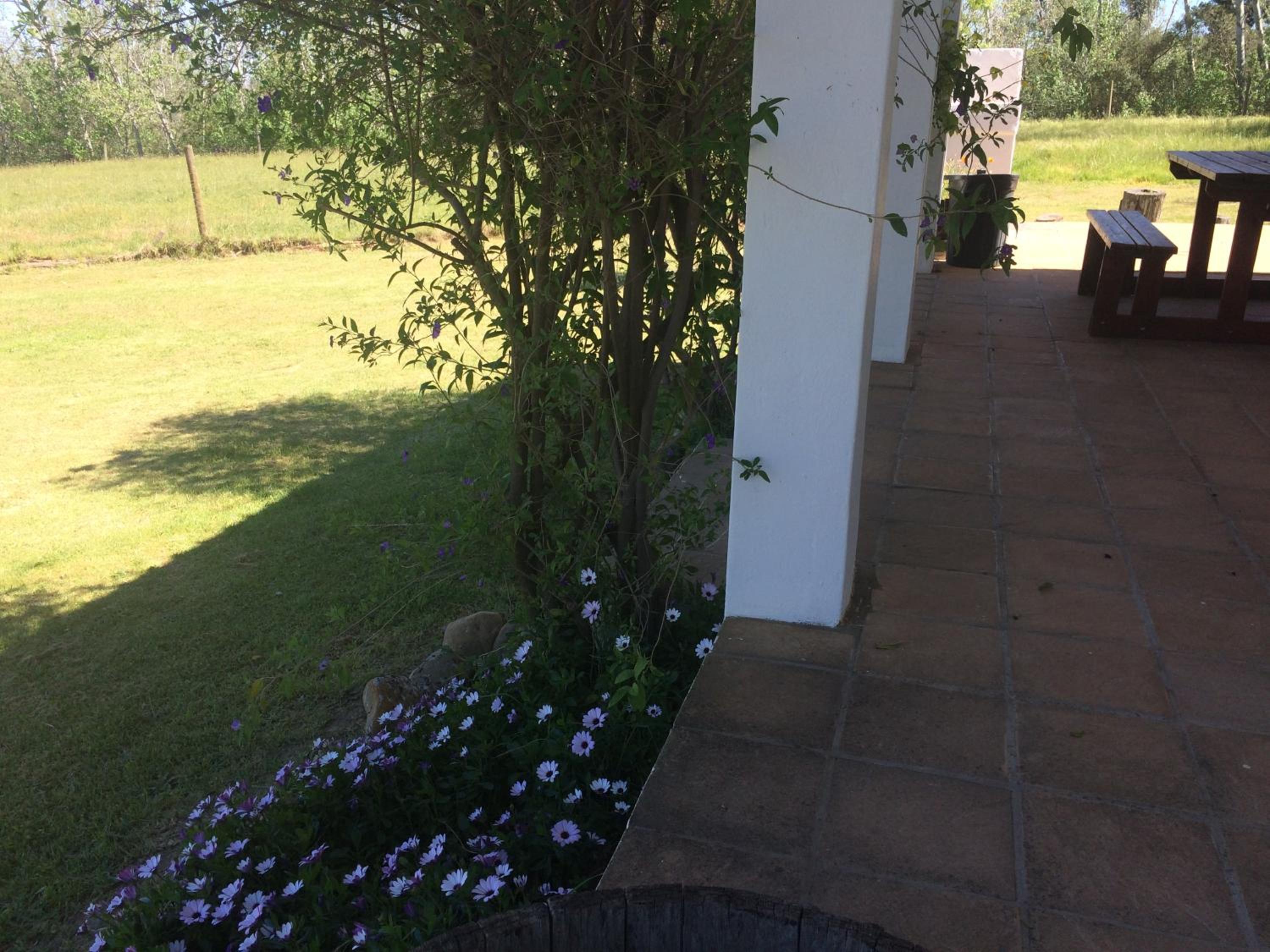 Photo 33