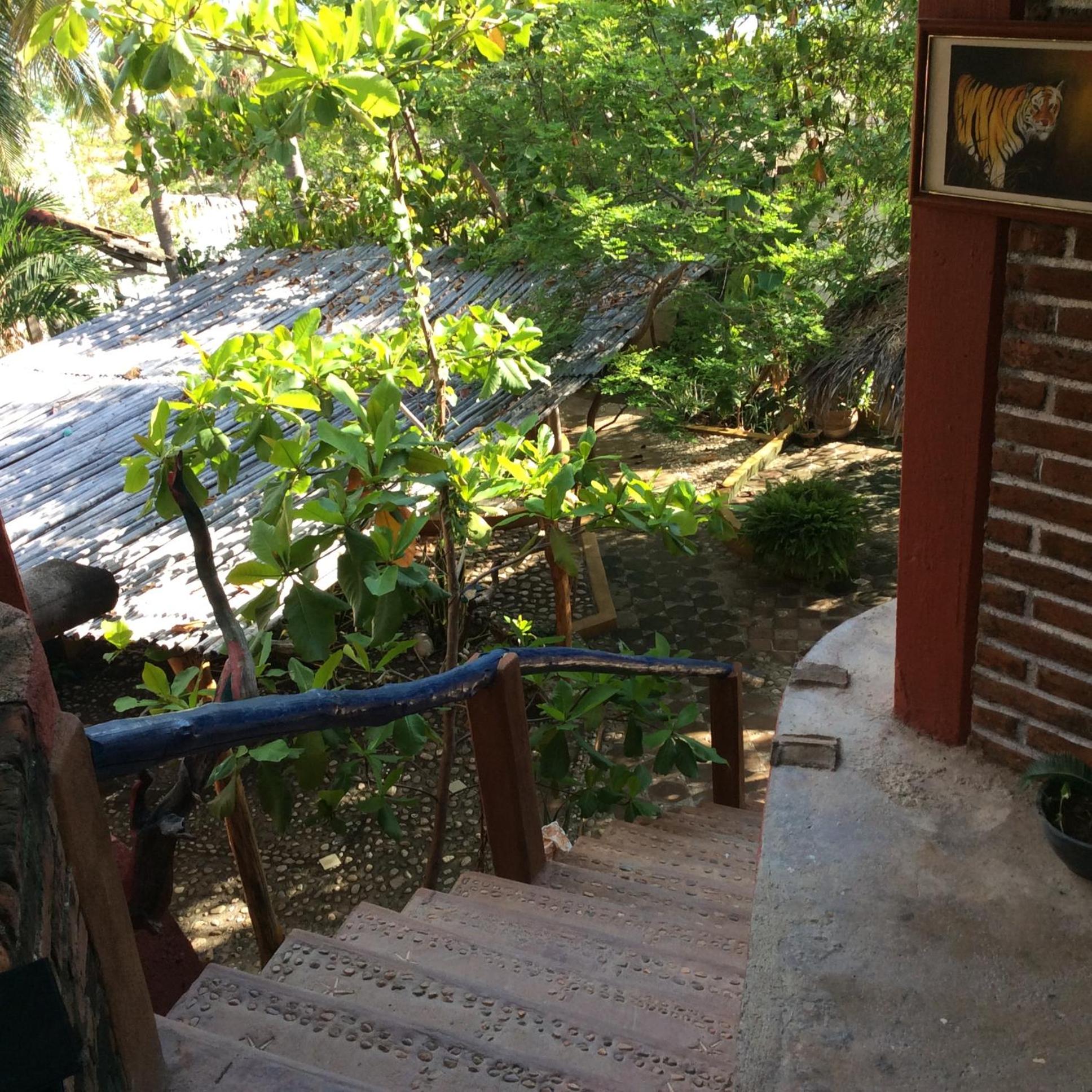 Photo 6