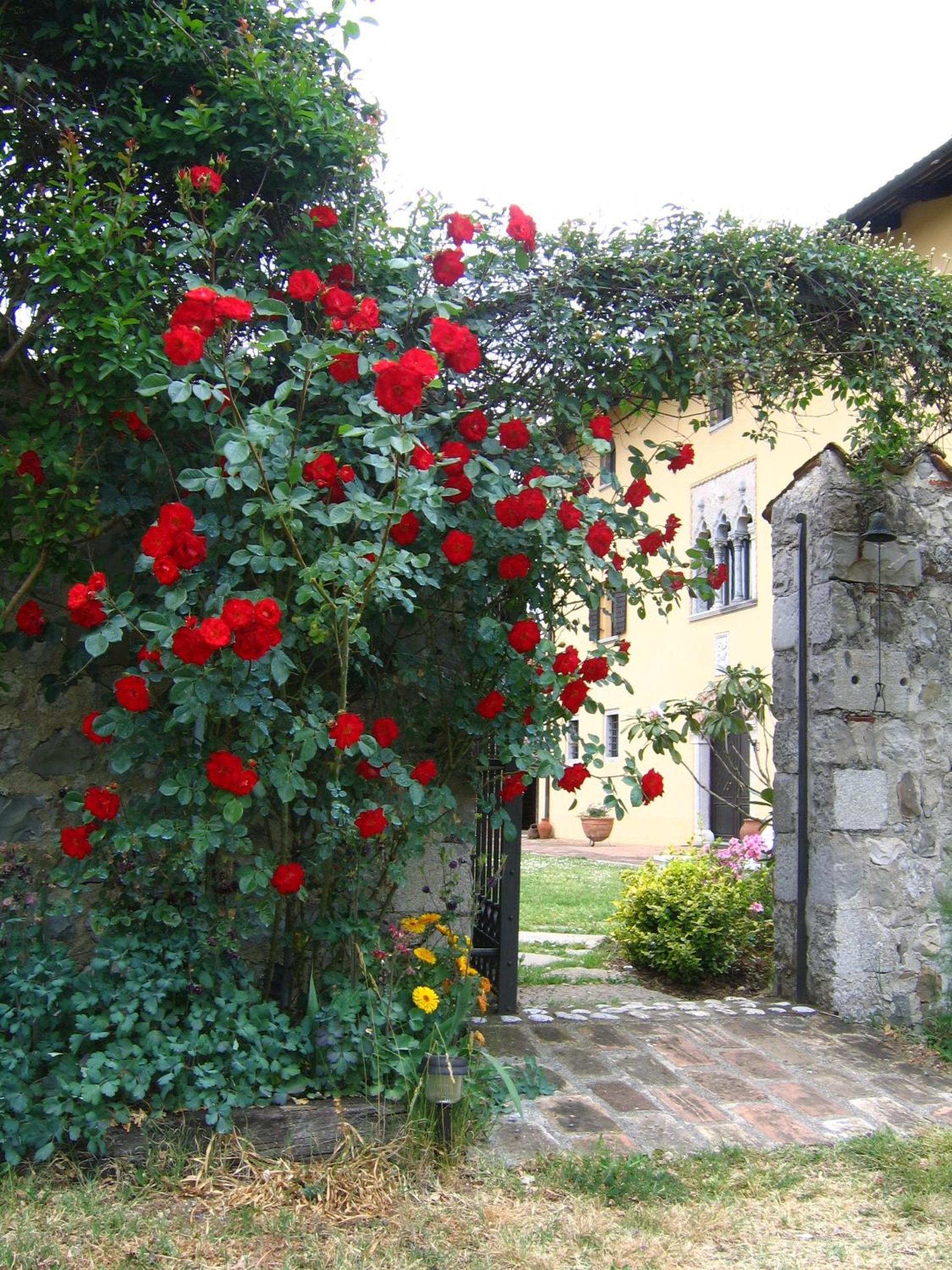 Photo 30