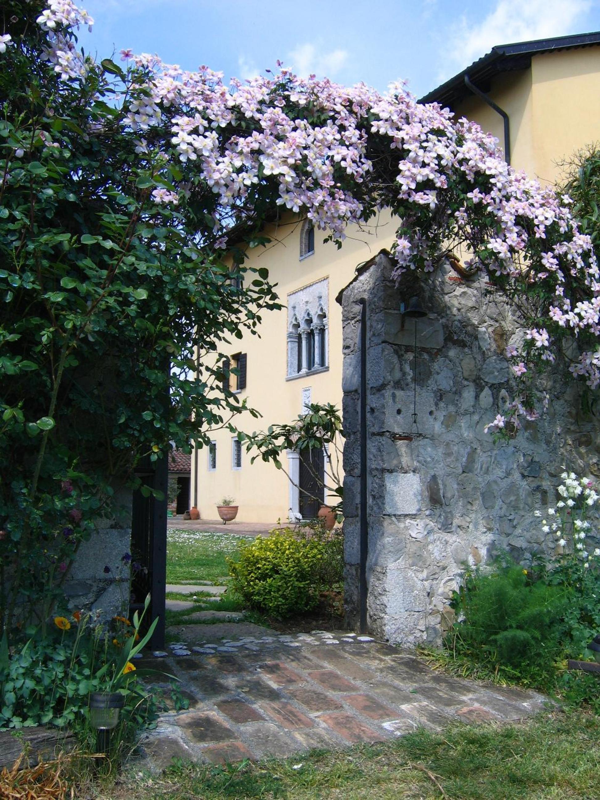 Photo 25