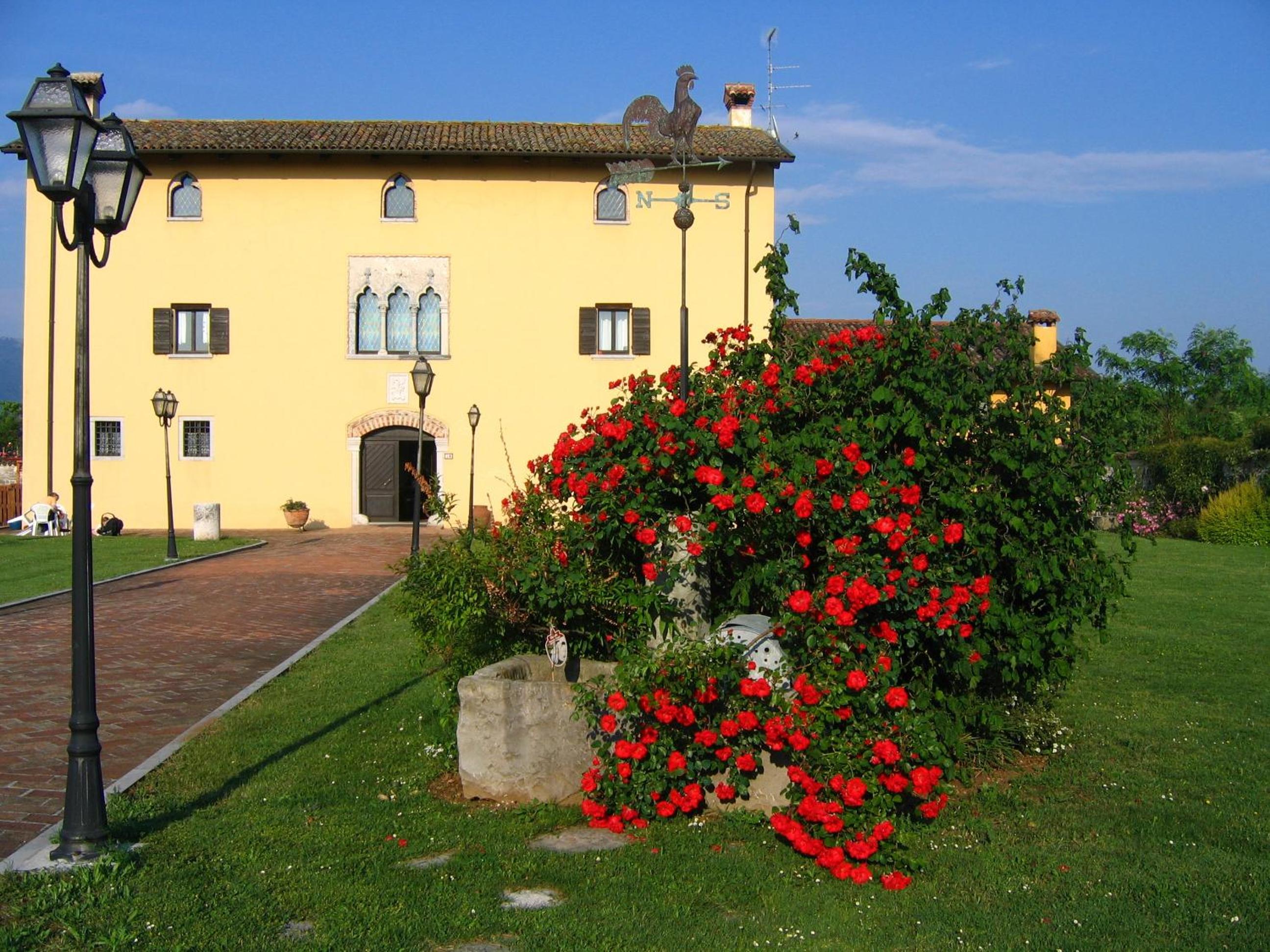 Photo 21