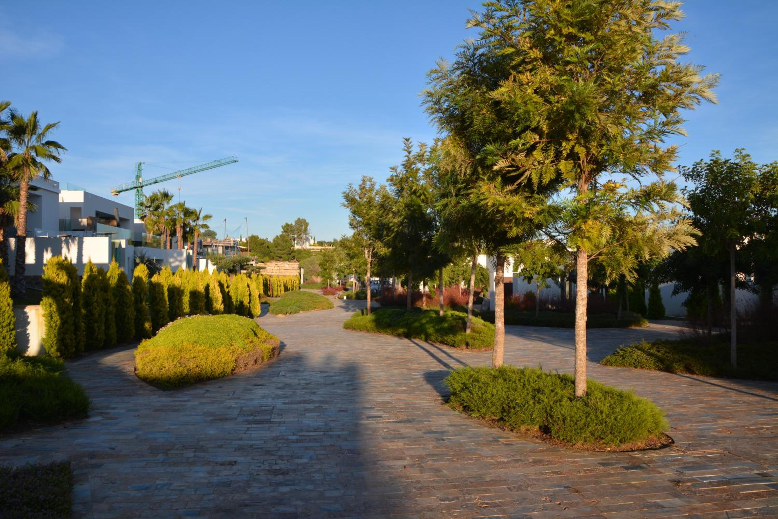 Photo 43