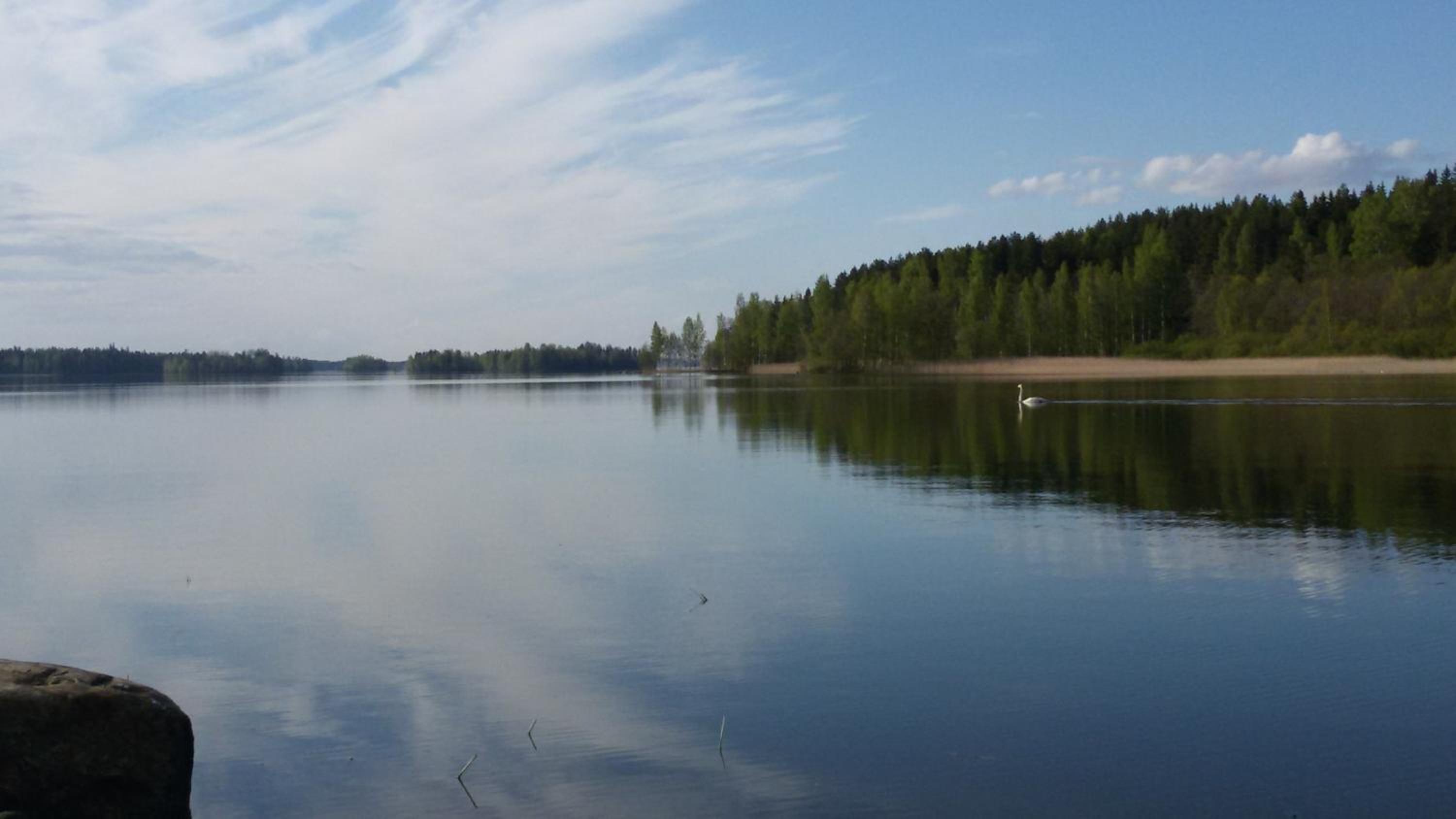 Photo 33