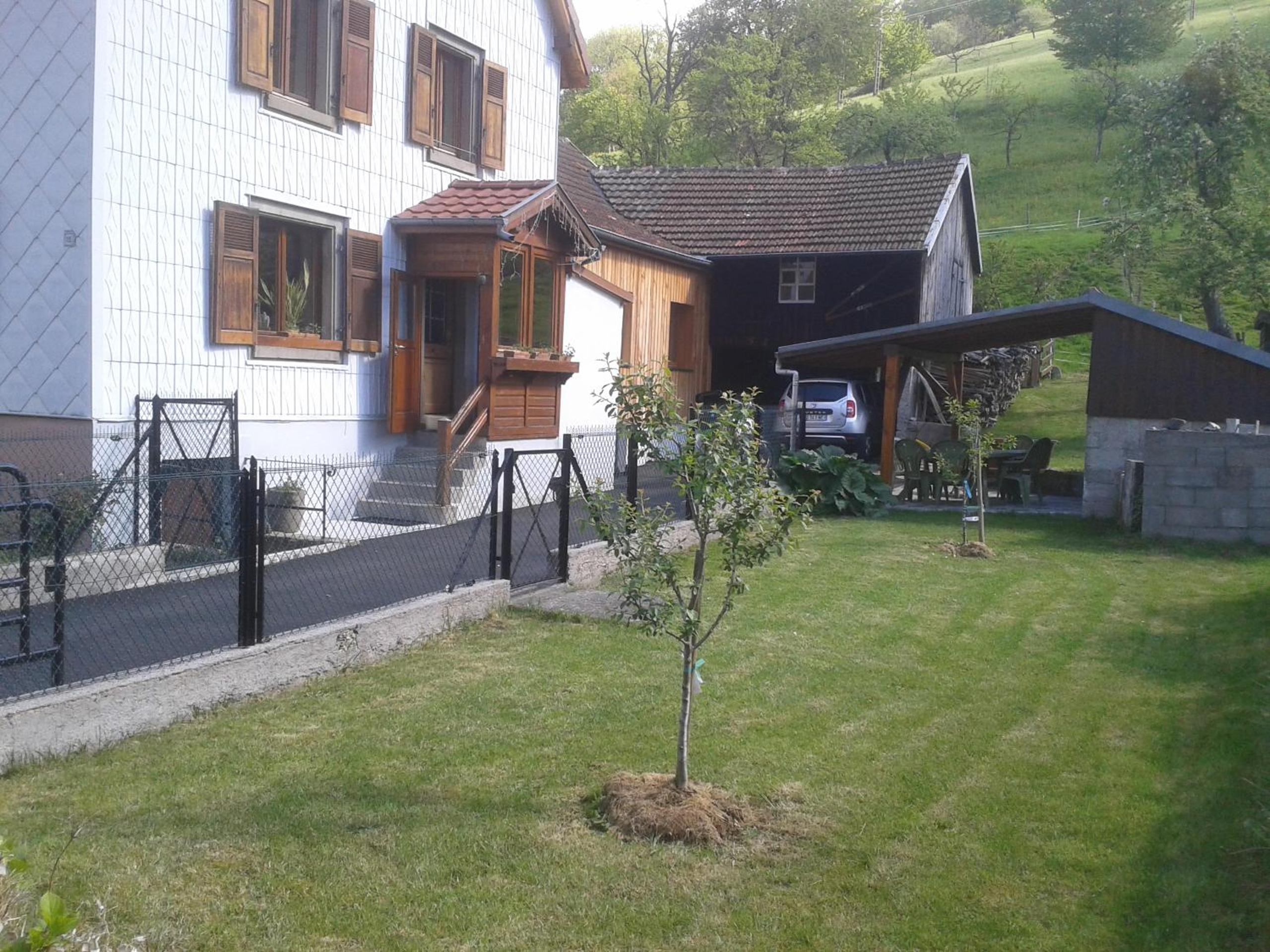 Photo 29