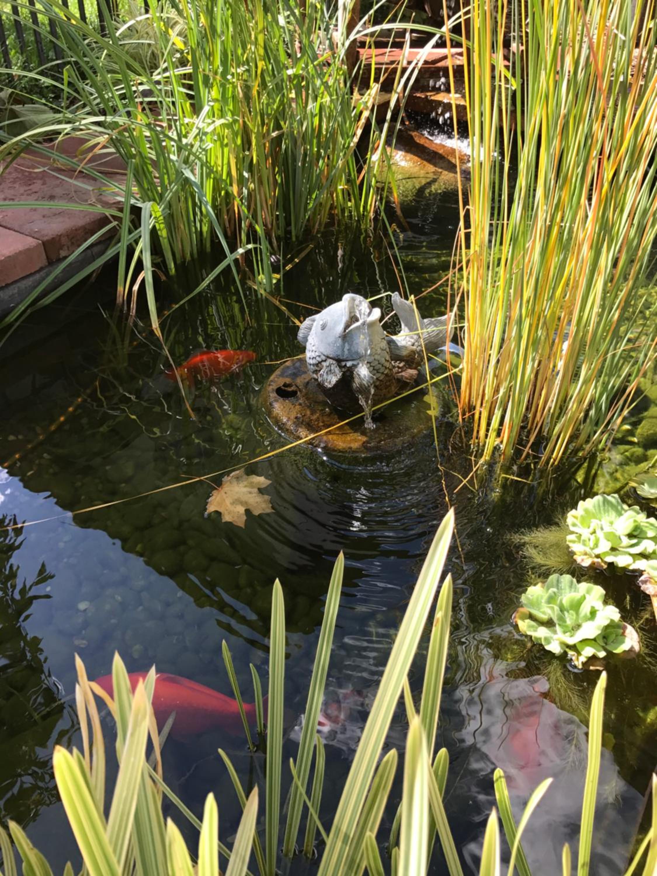 Photo 22