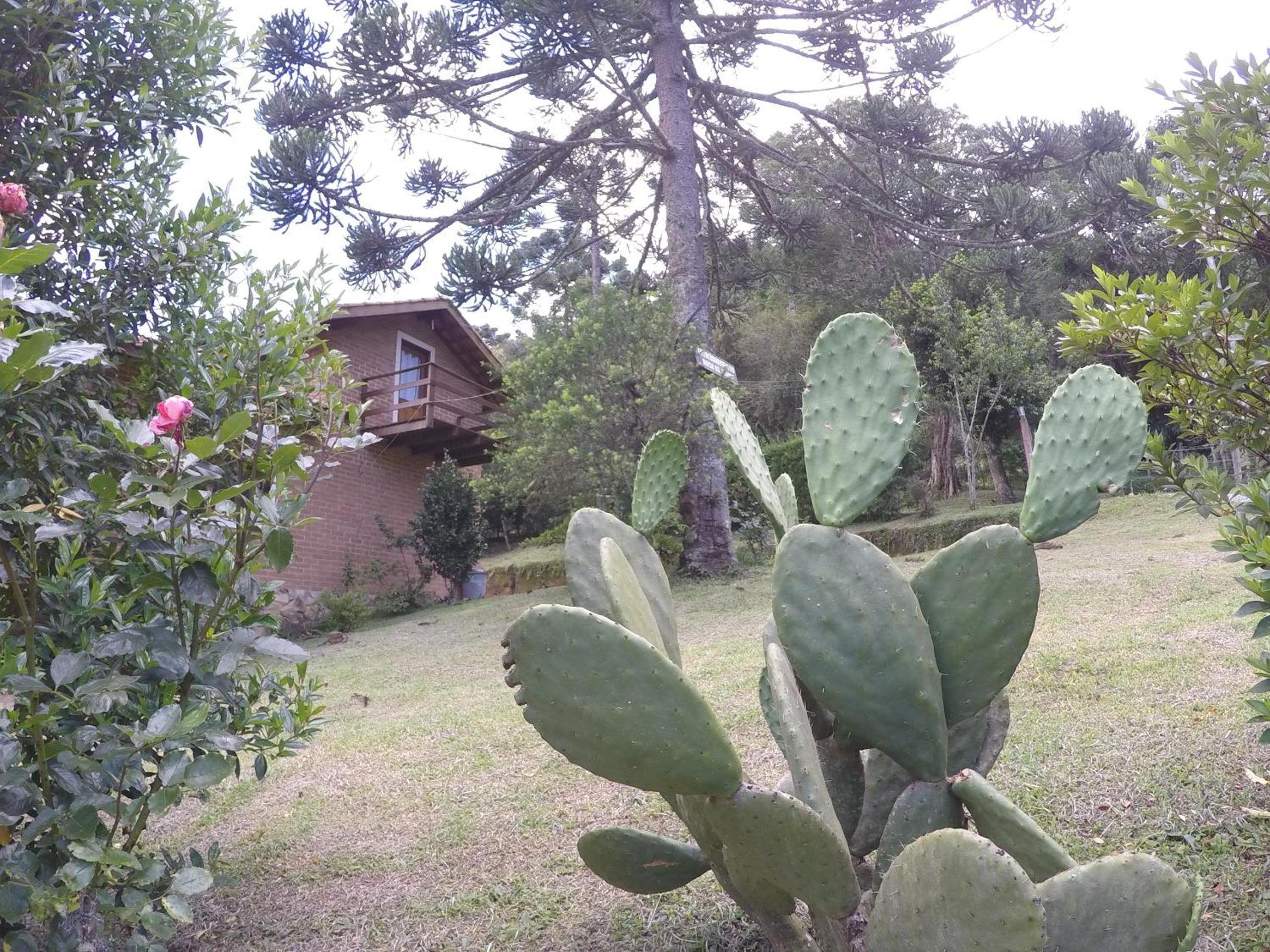 Sitio Rosa de Minas