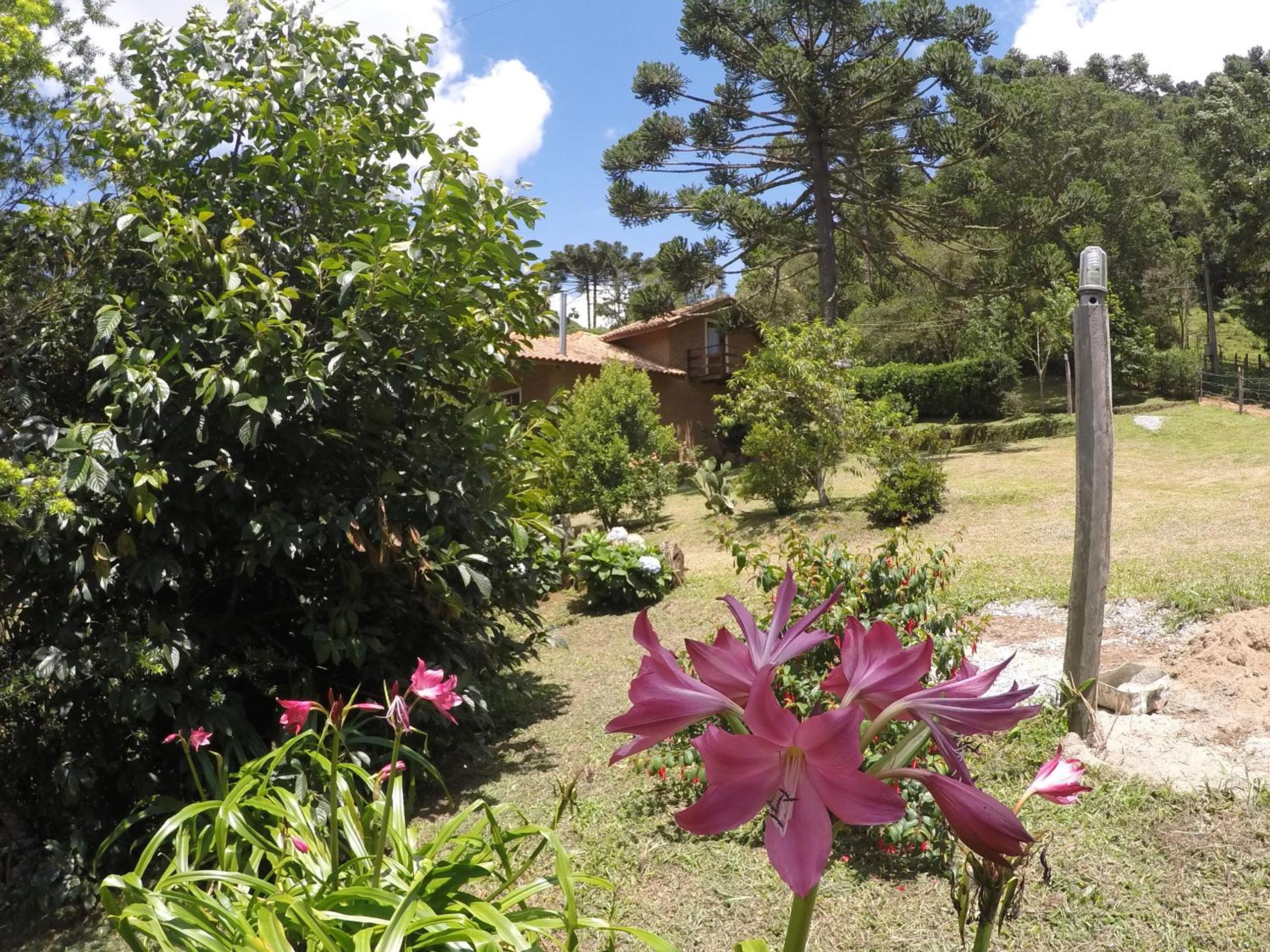 Sitio Rosa de Minas
