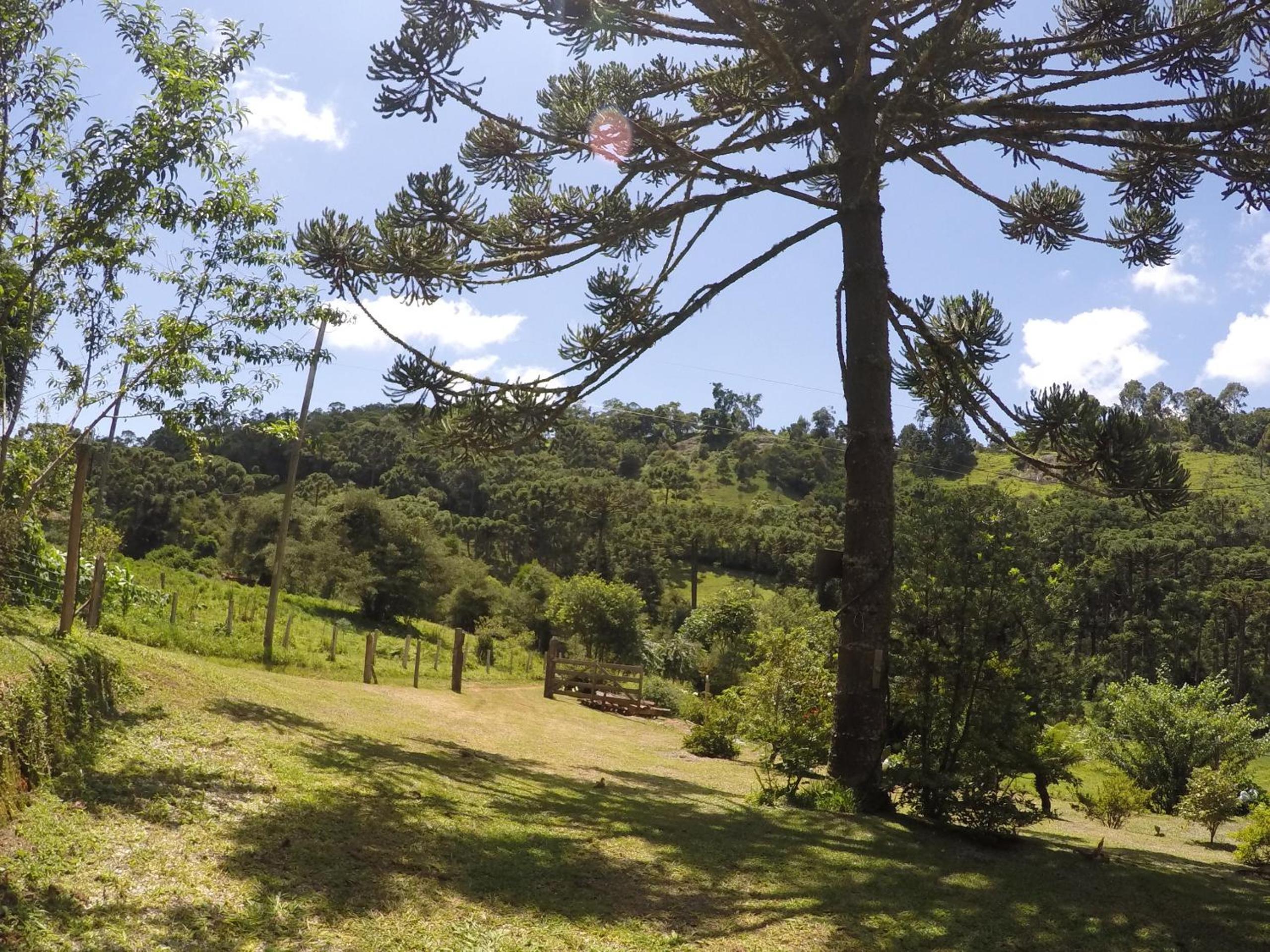 Sitio Rosa de Minas