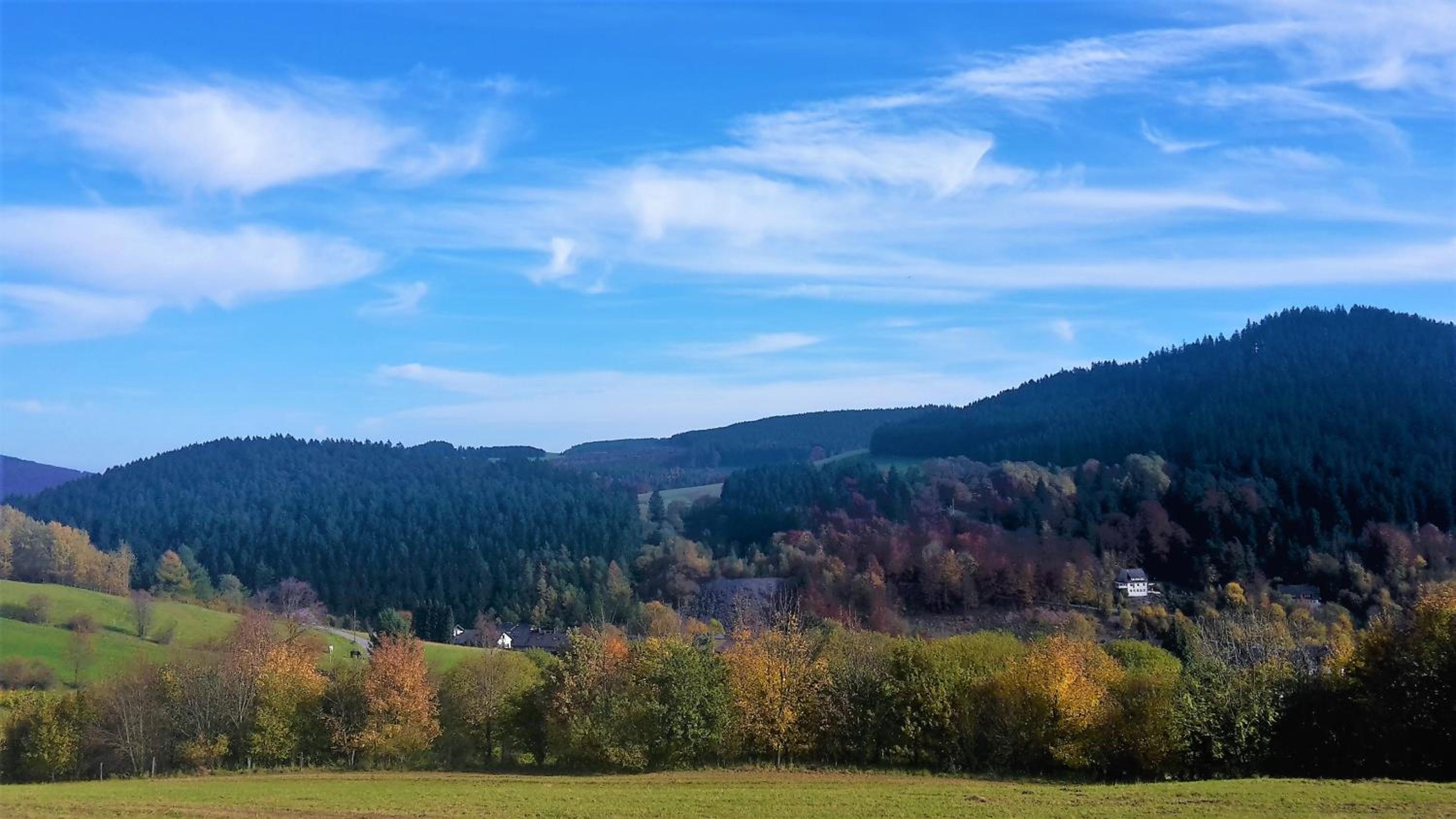 Pension Haus Waldfrieden, MeineCardPlus inklusive