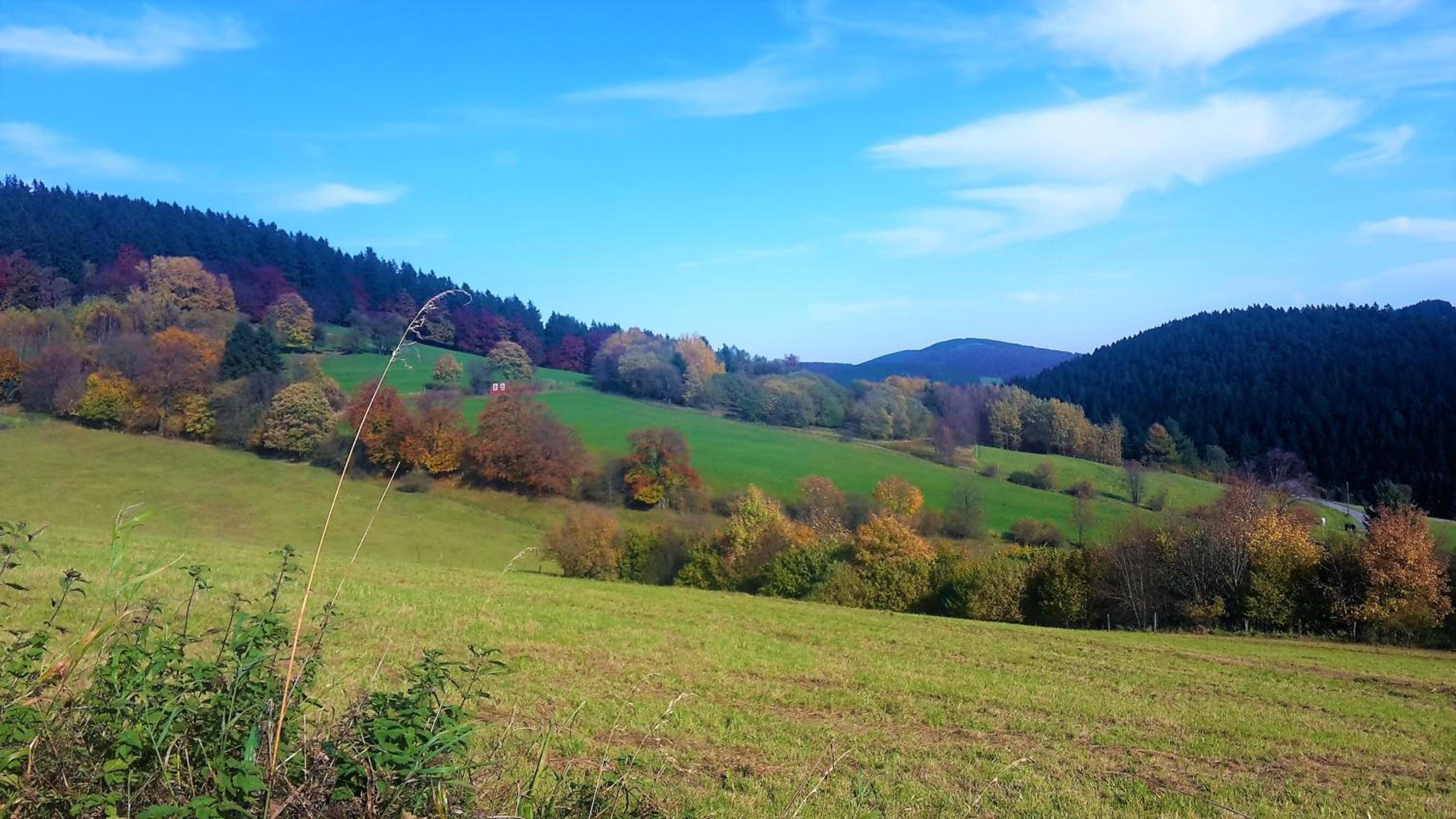 Pension Haus Waldfrieden, MeineCardPlus inklusive