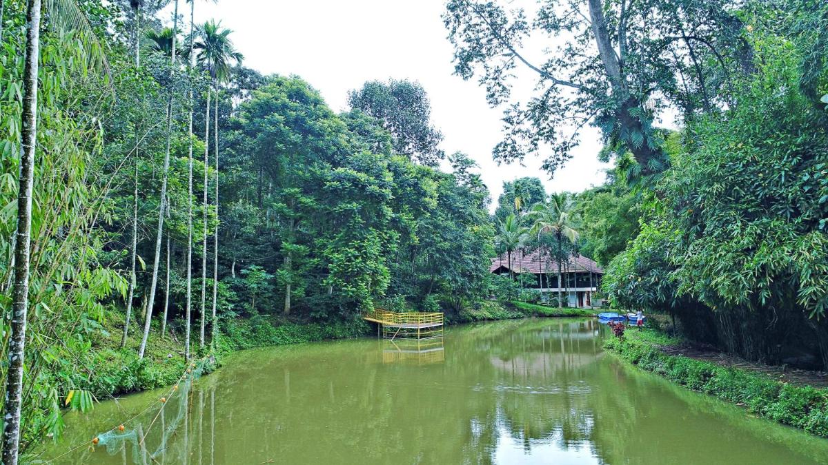 children's play area