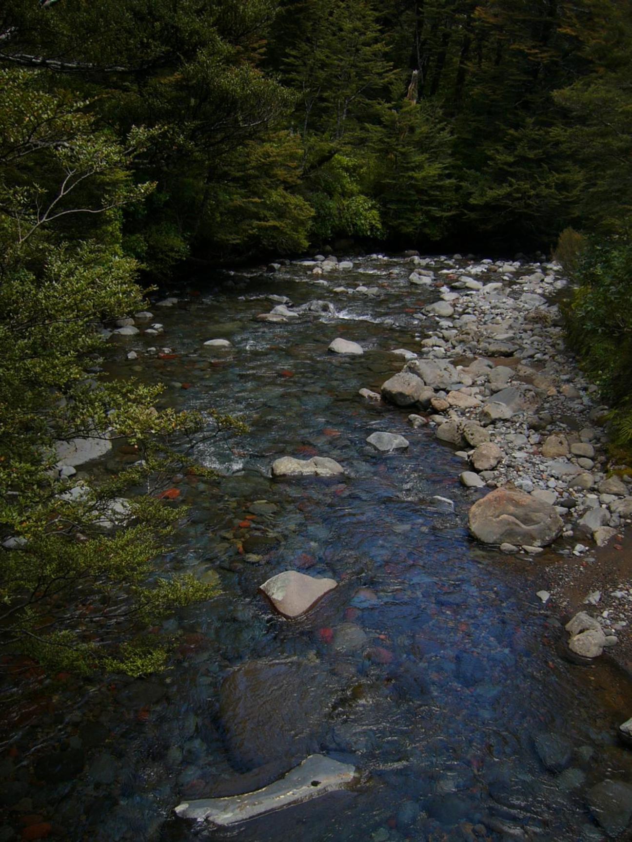 Photo 27