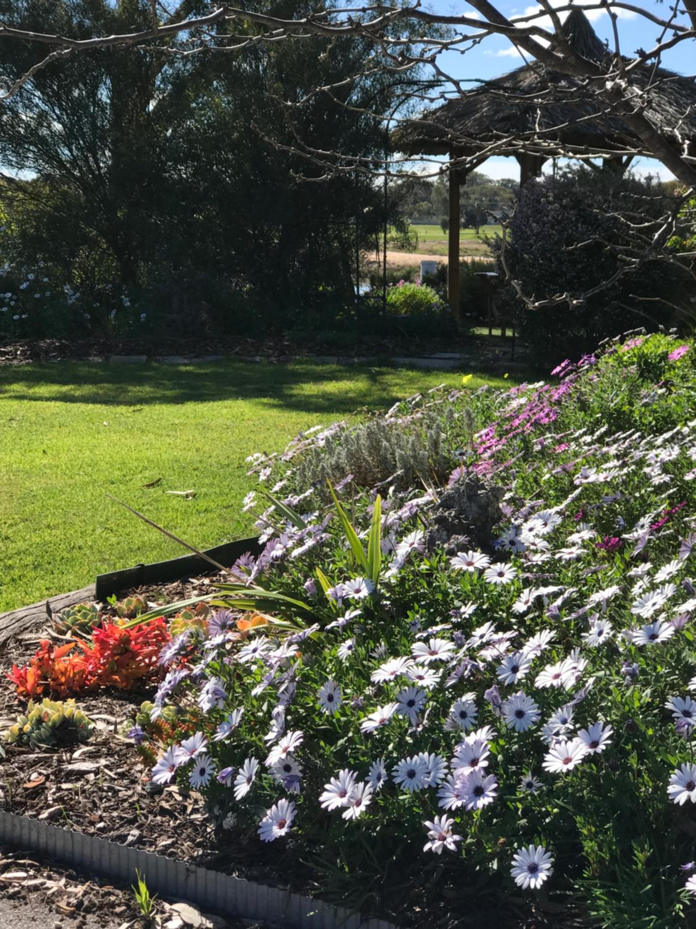 Yellow Gum Bed and Breakfast