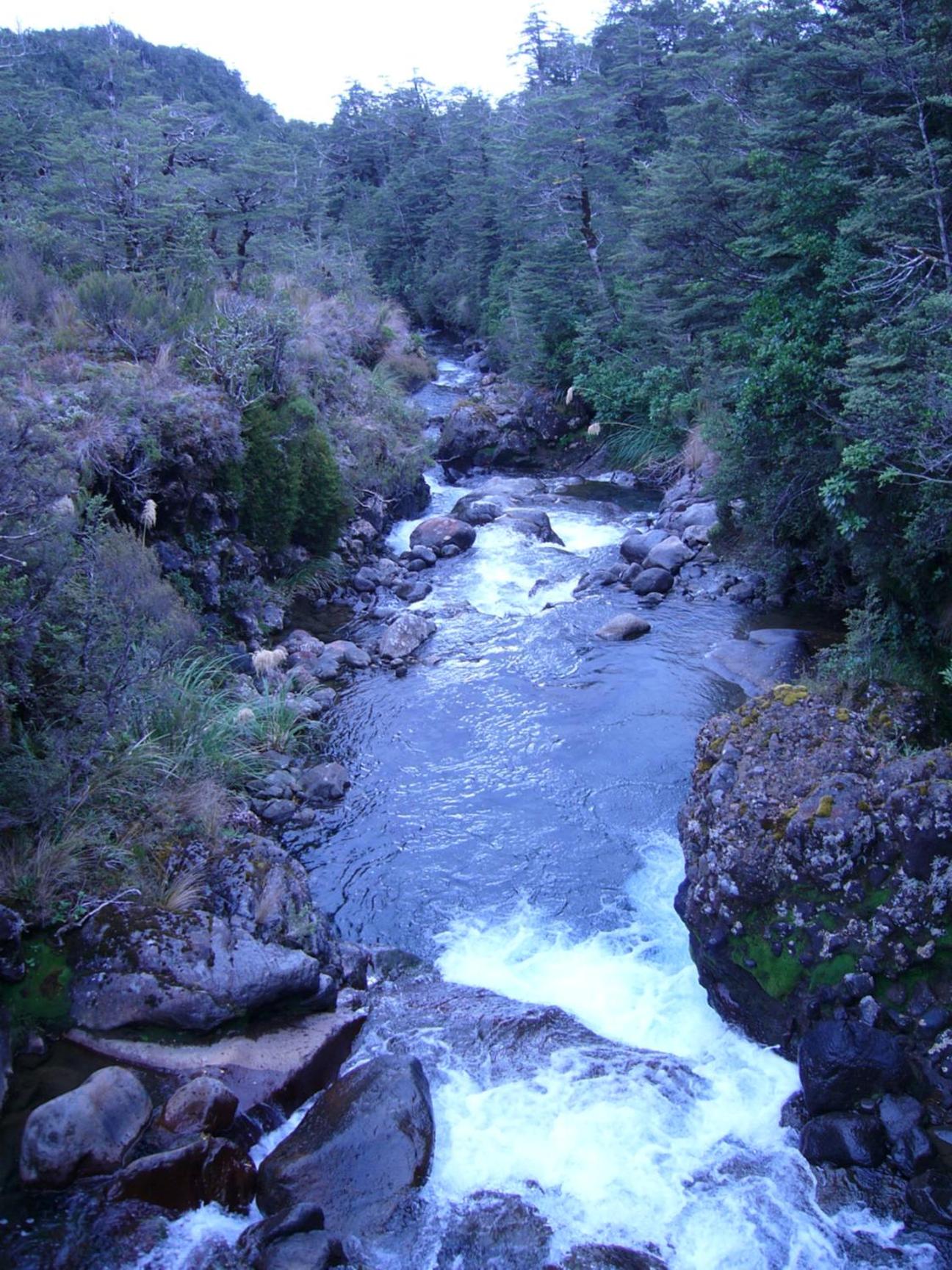 Photo 28