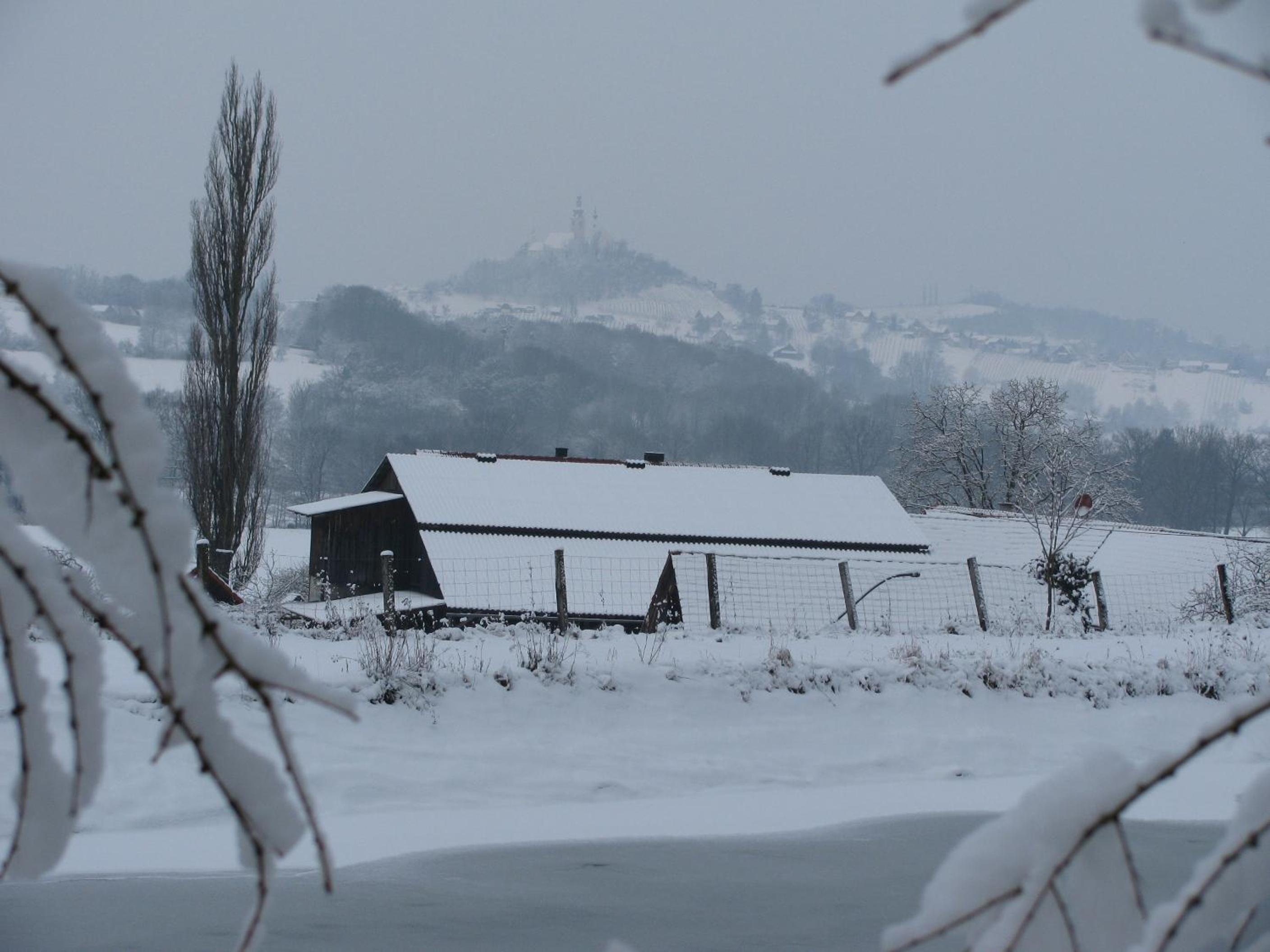 Bauernhof Flucher-Plaschg
