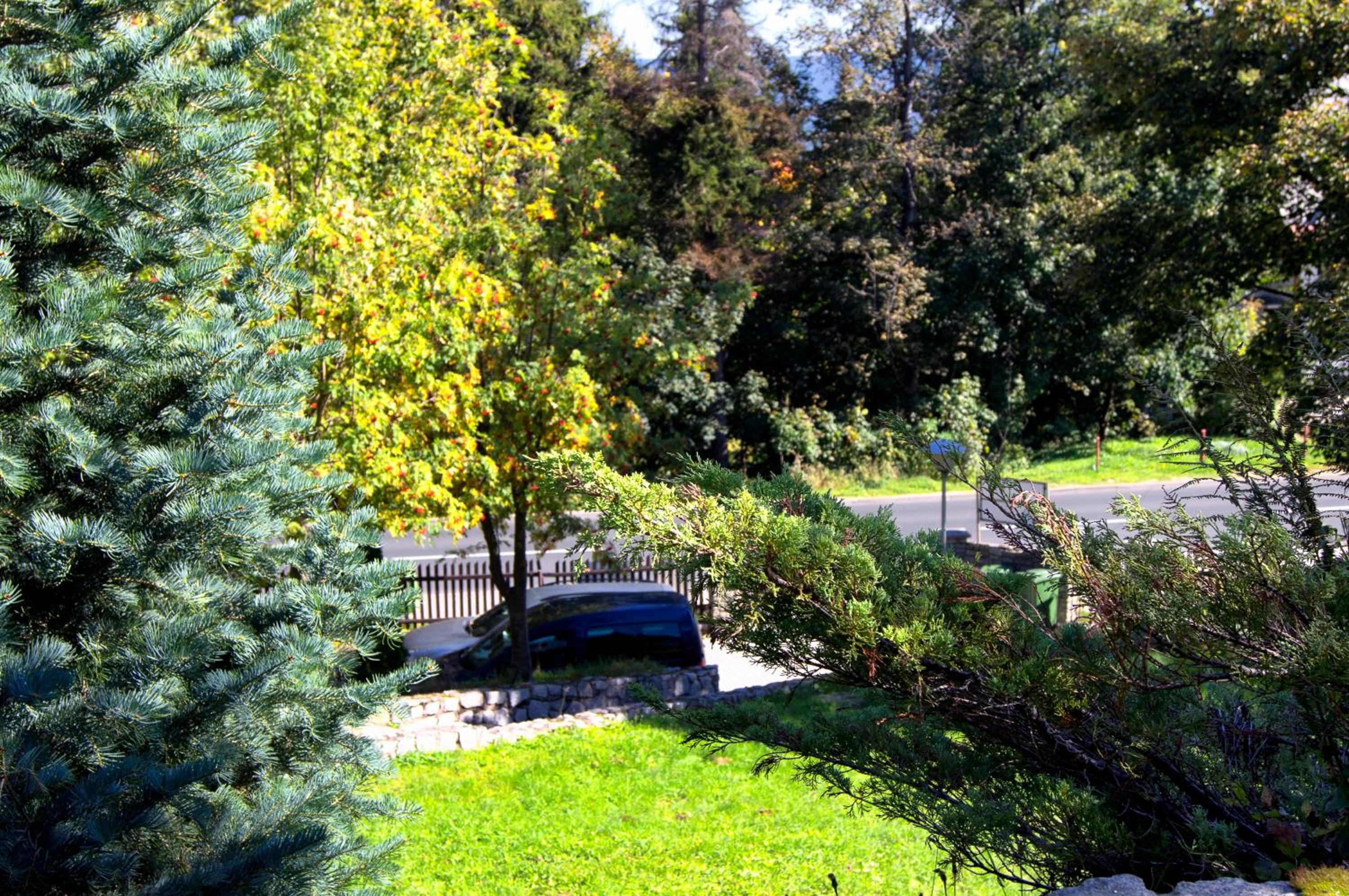 Photo 12