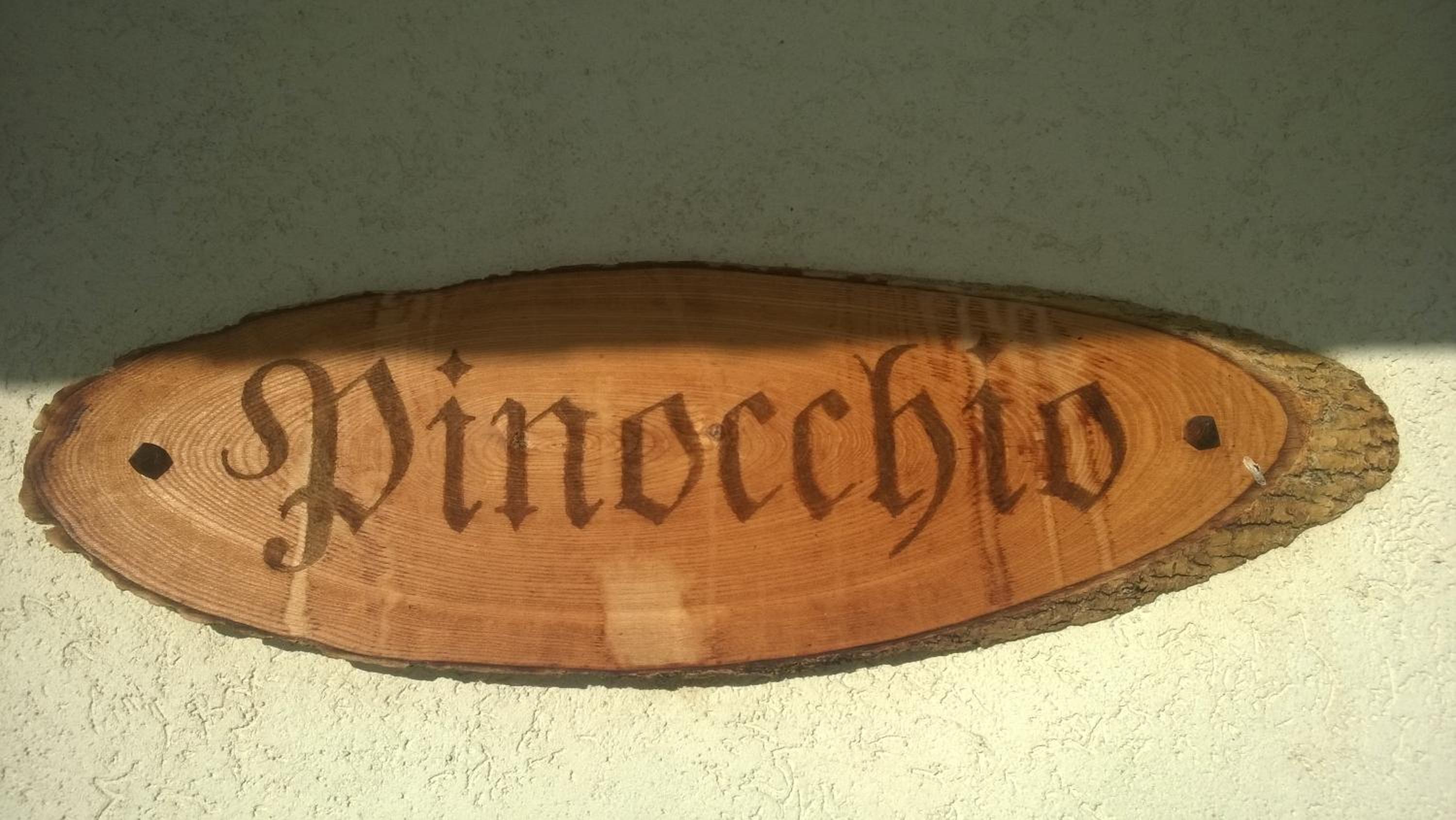 Chalet Pinocchio view 5