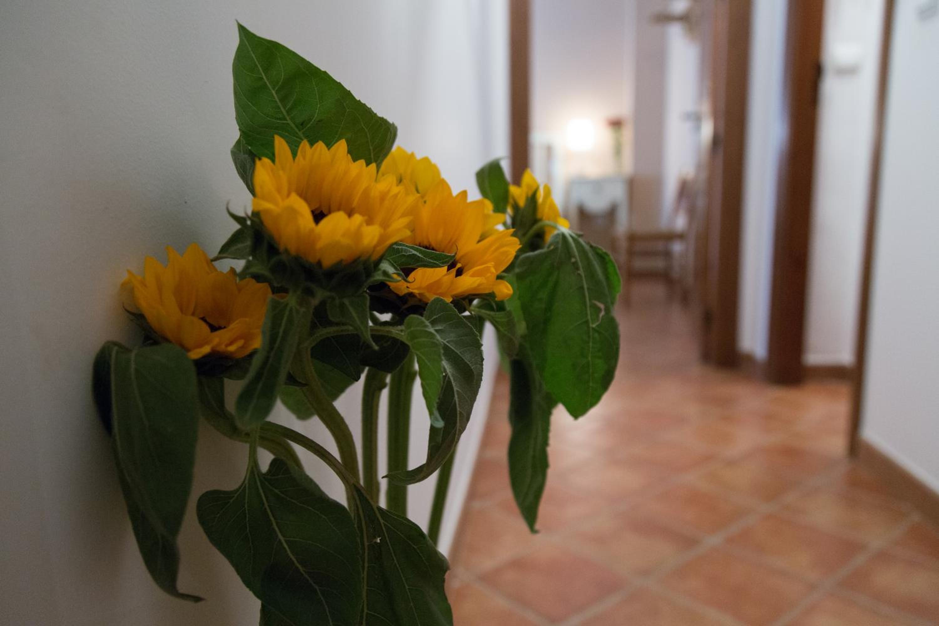 Casa Rural Migolla view 5