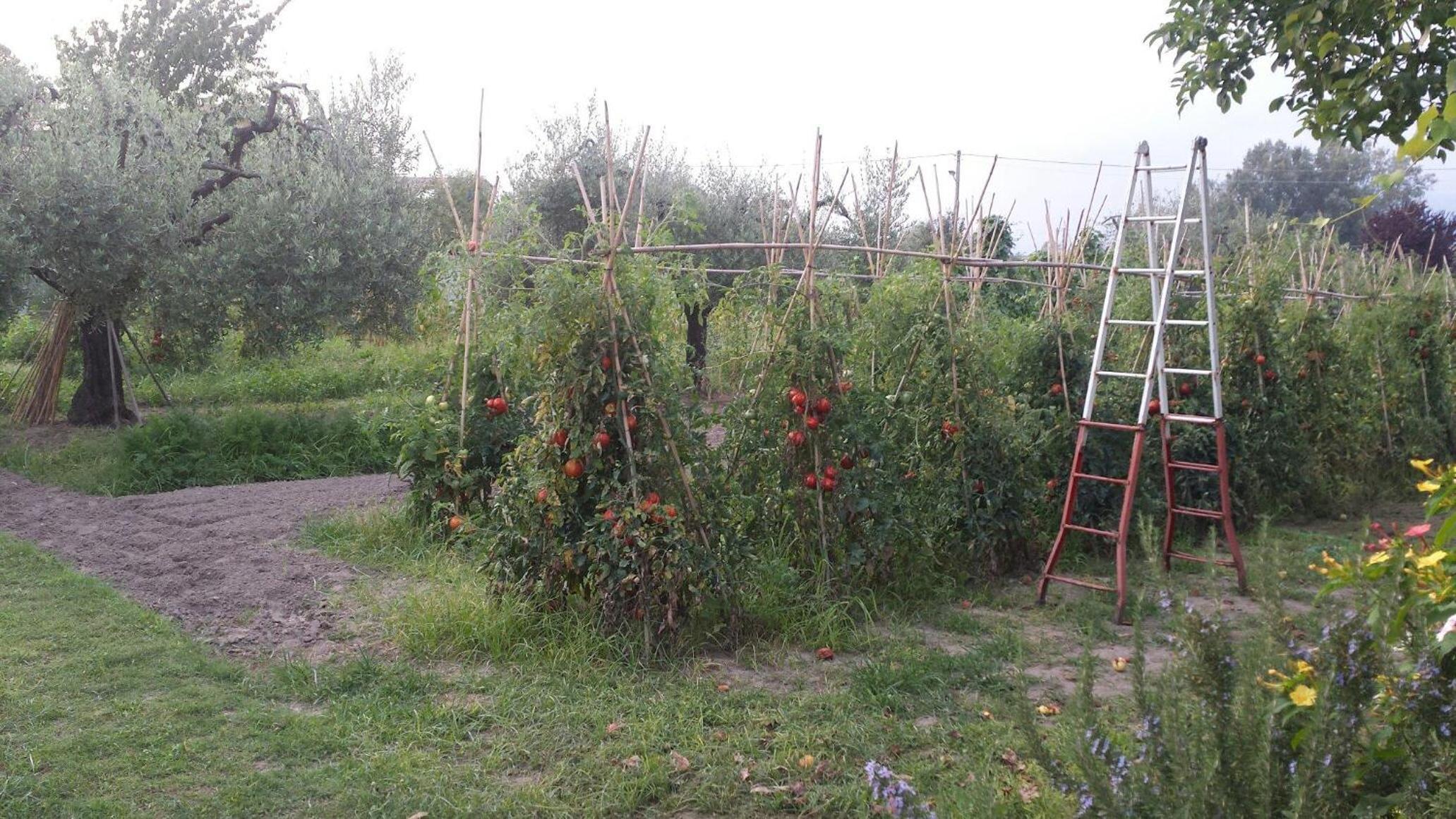 Photo 34