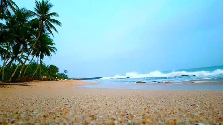 Mallika Guest House view 5