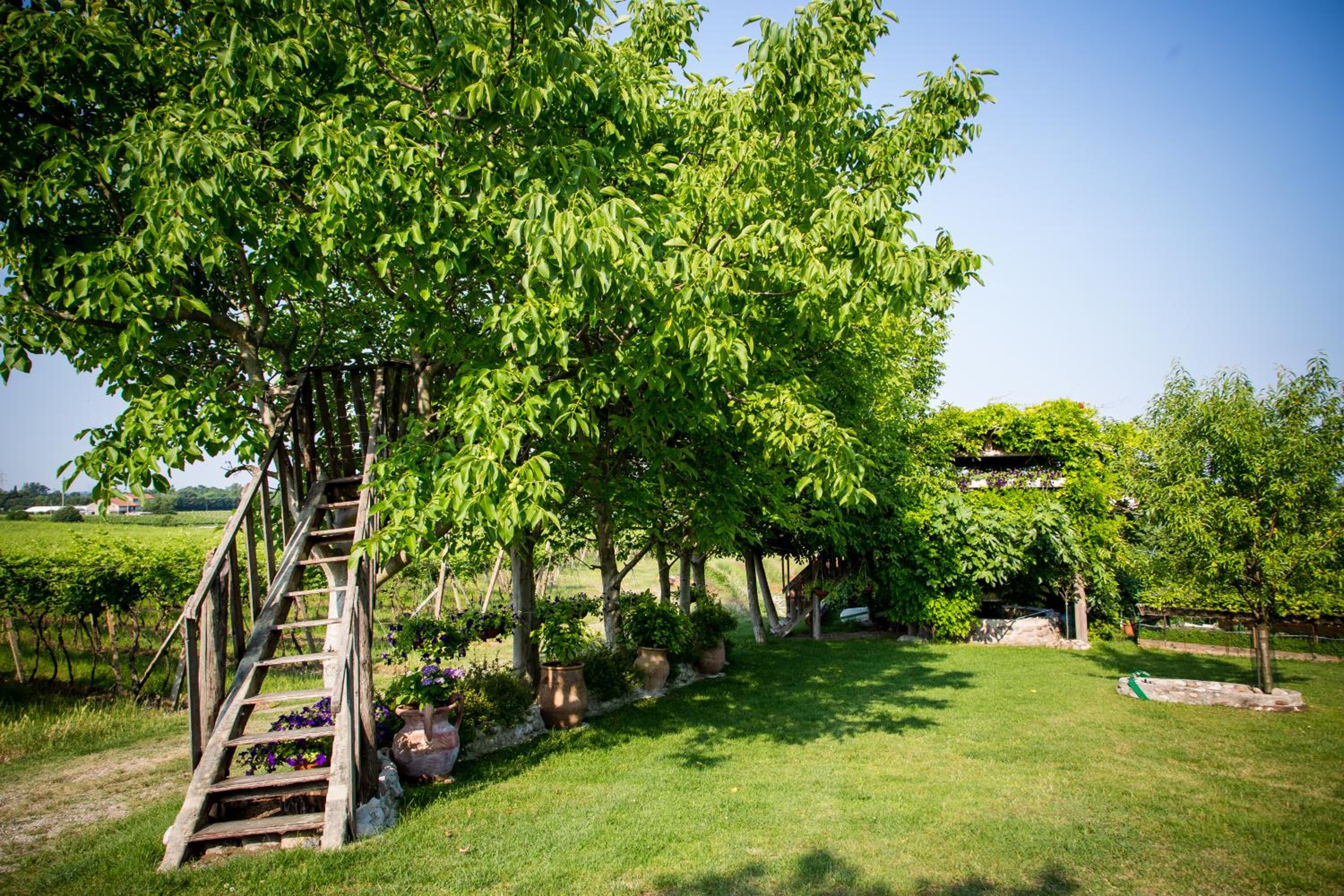 Agriturismo Bosco Del Gal