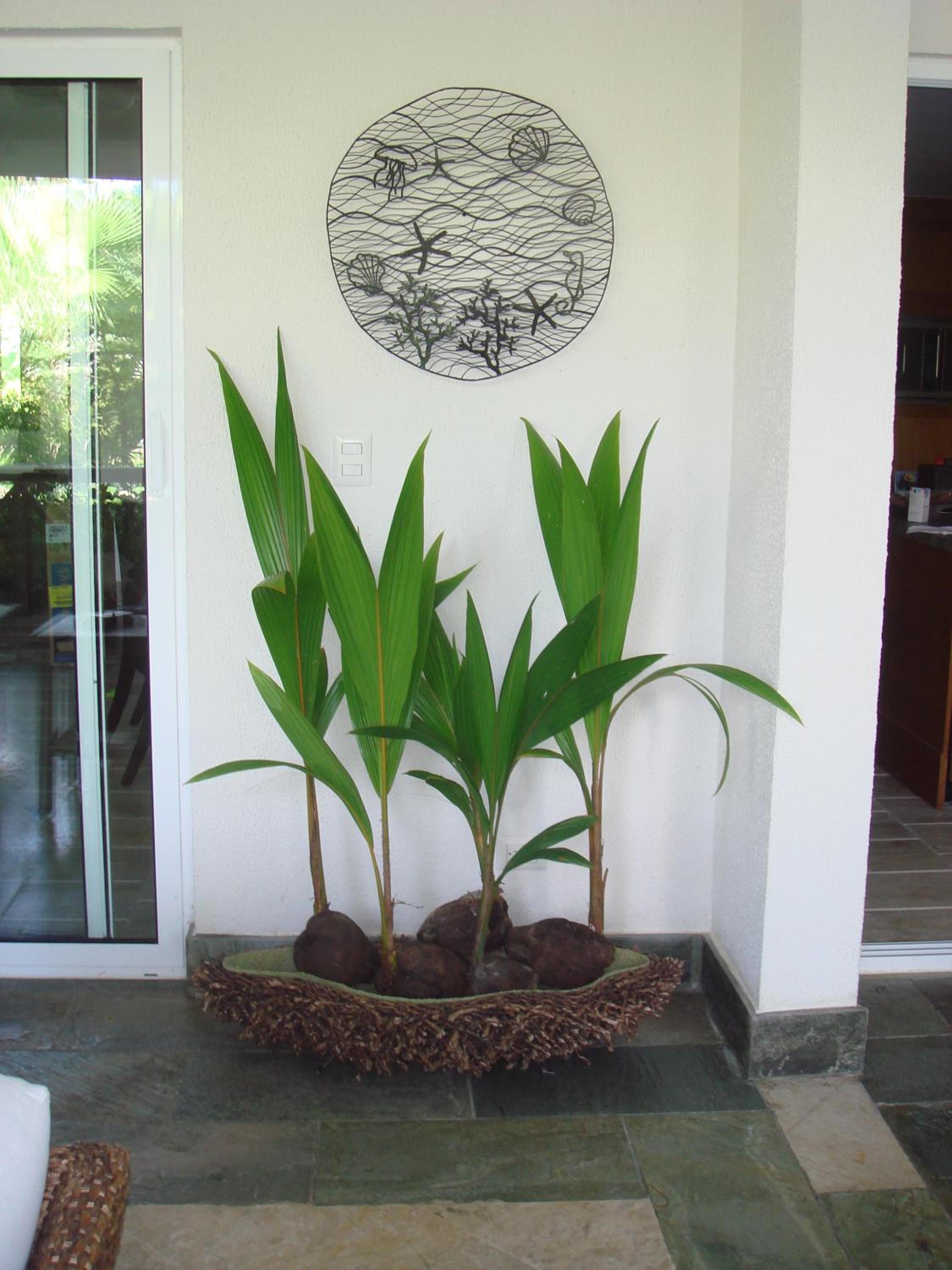 Apartment Balcones Del Atlantico