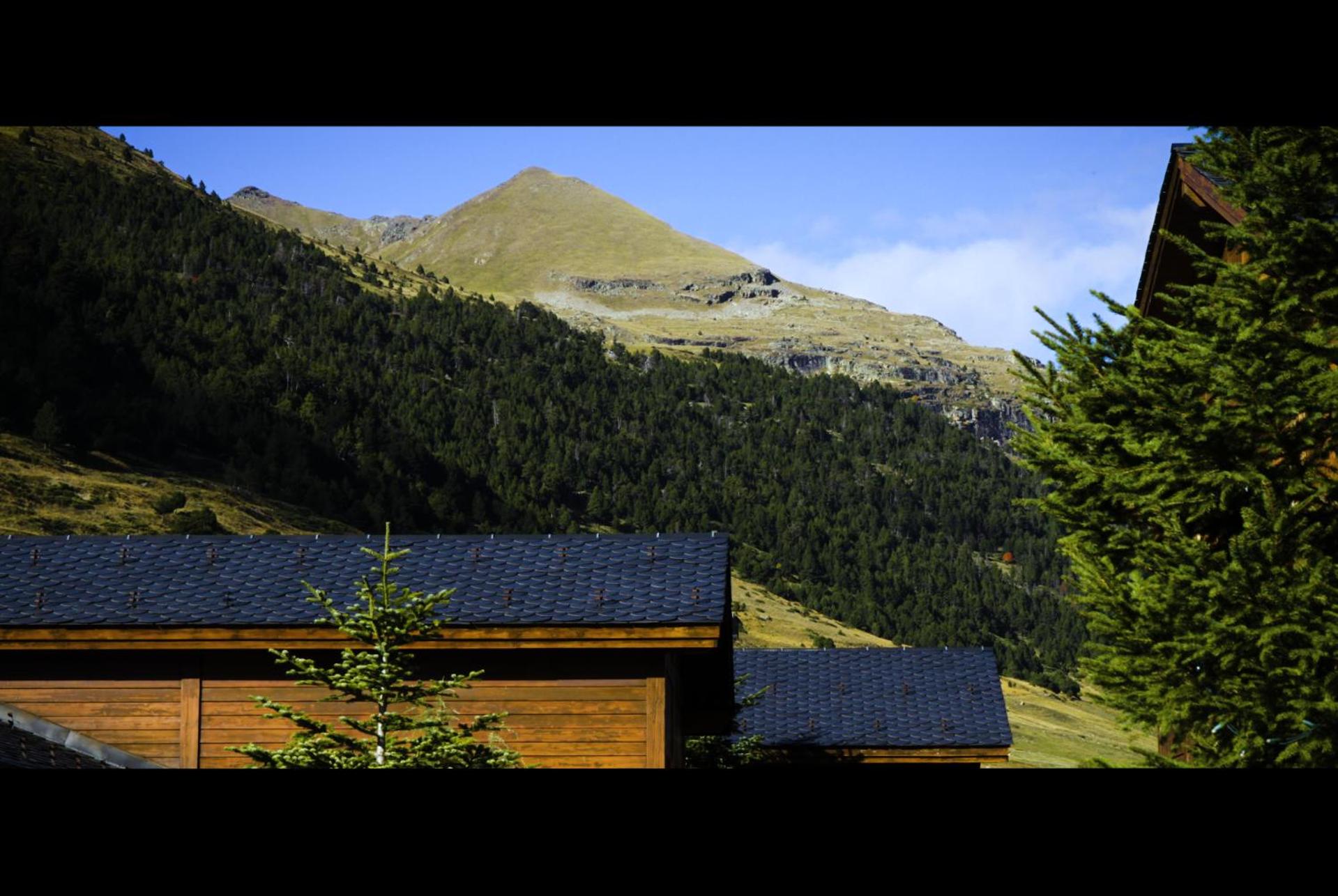 Vitivola Pleta Peu del Riu Incles