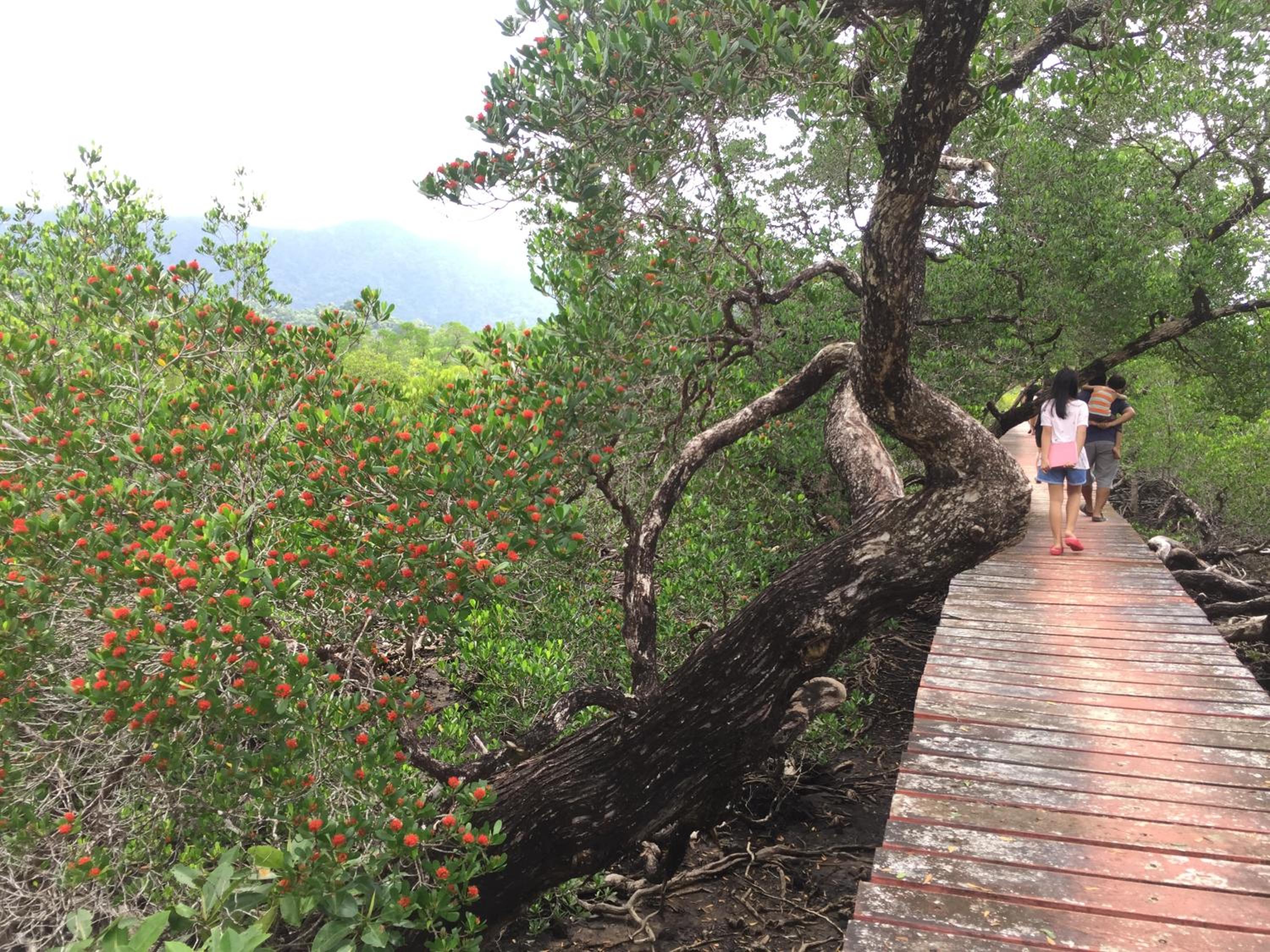 Baan Chan Lay Koh Chang