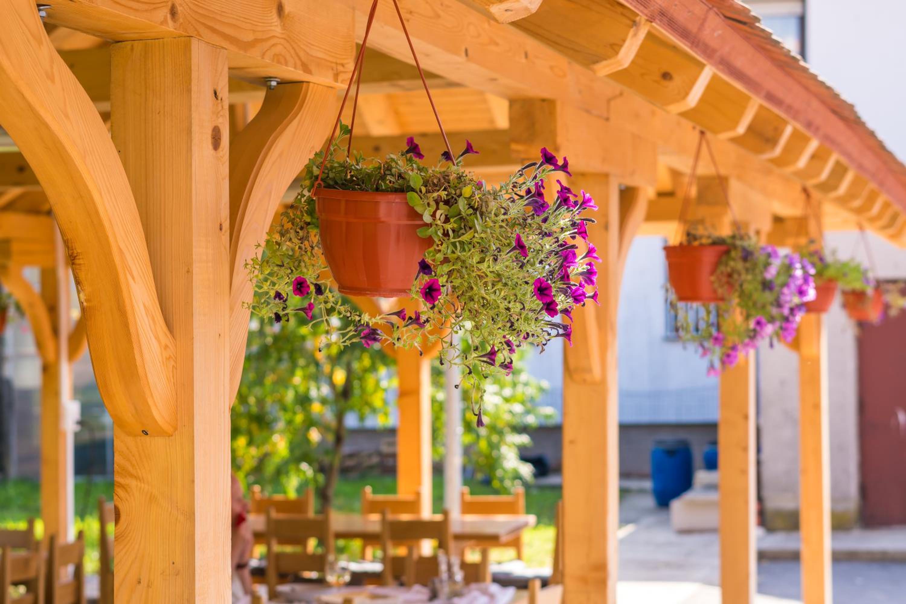 Hostel Vincentinum