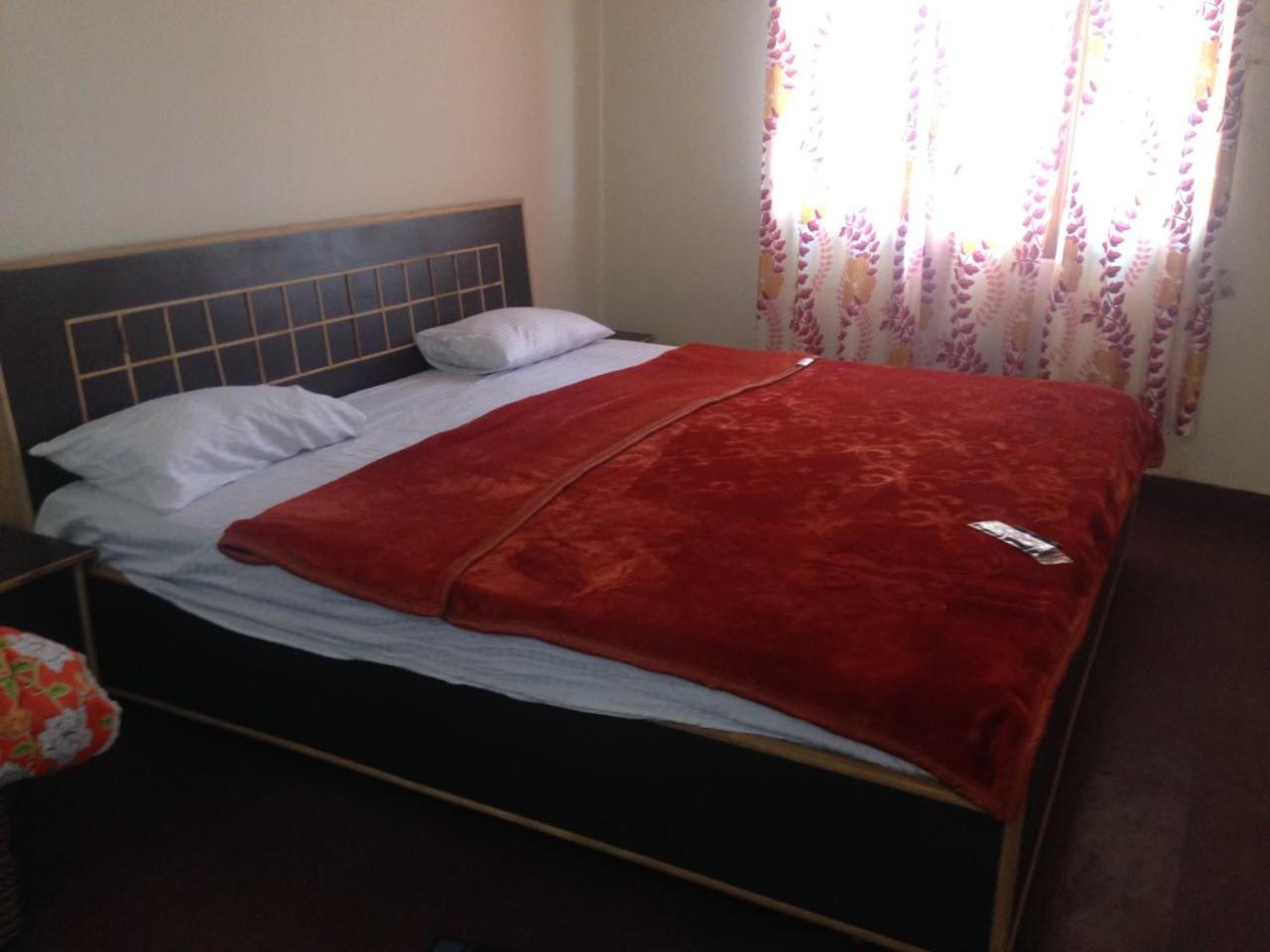 Serene Homestay in Shoghi-Shimla view 5