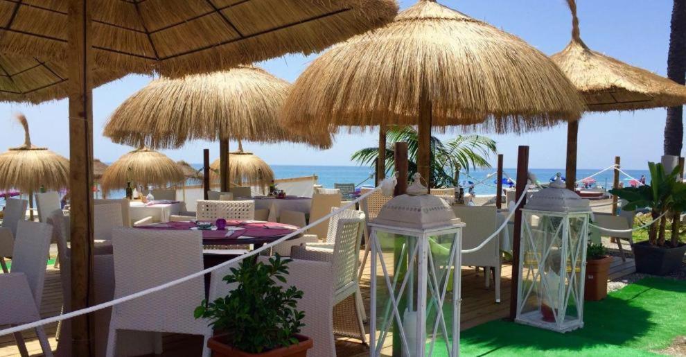 Oasis Pacifico