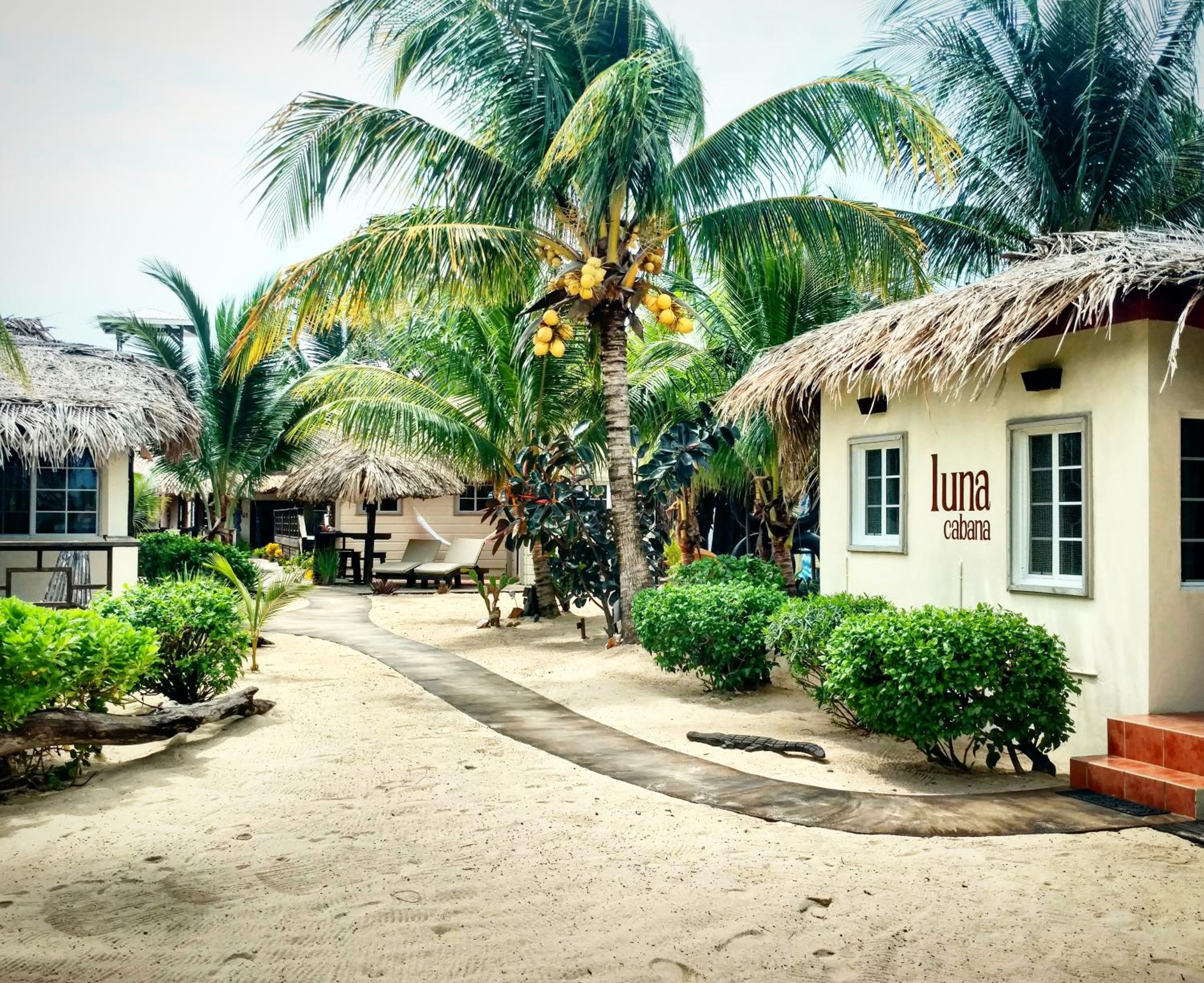 Caribbean Beach Cabanas