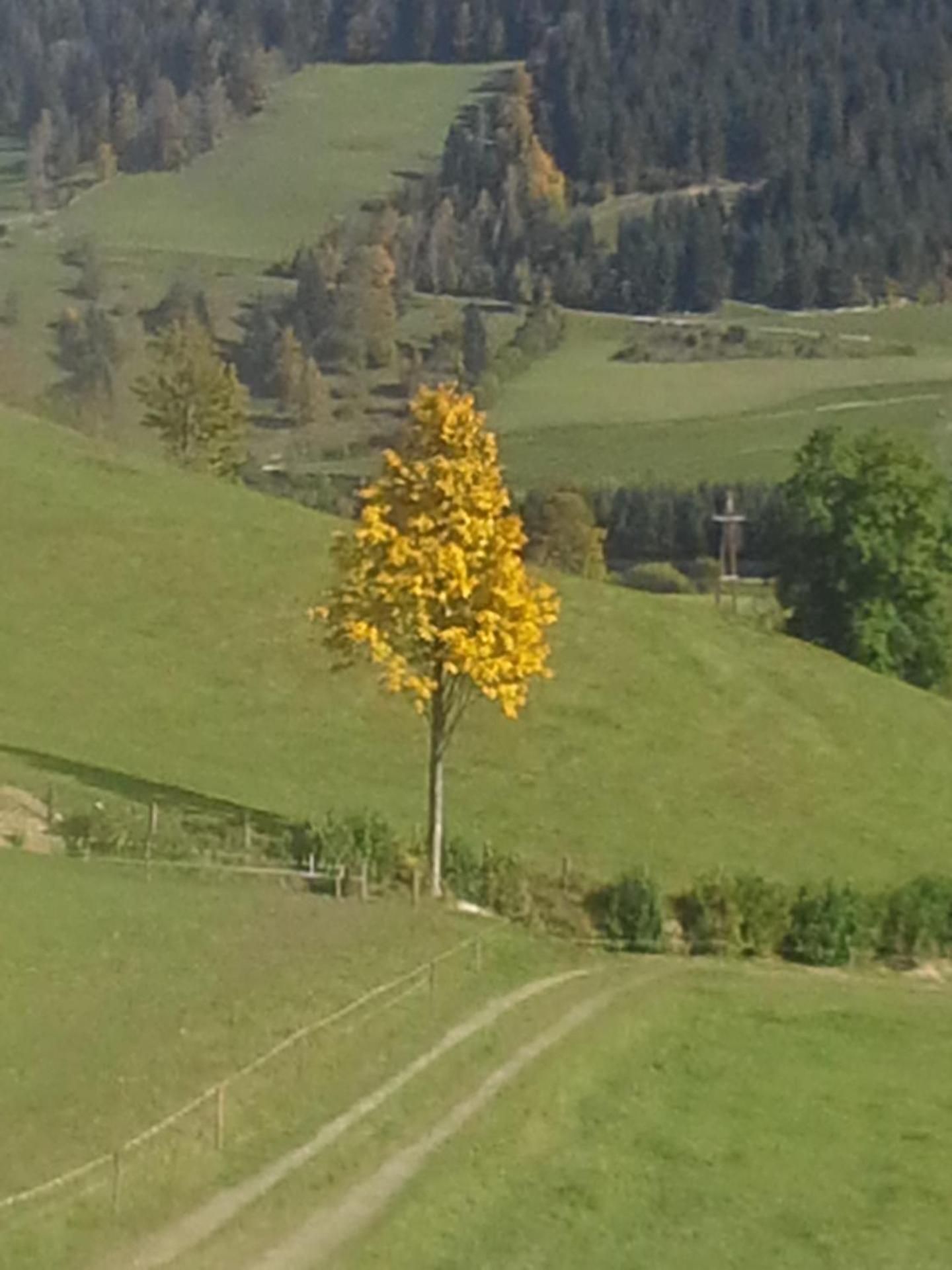 Bauernhof Unterbichl