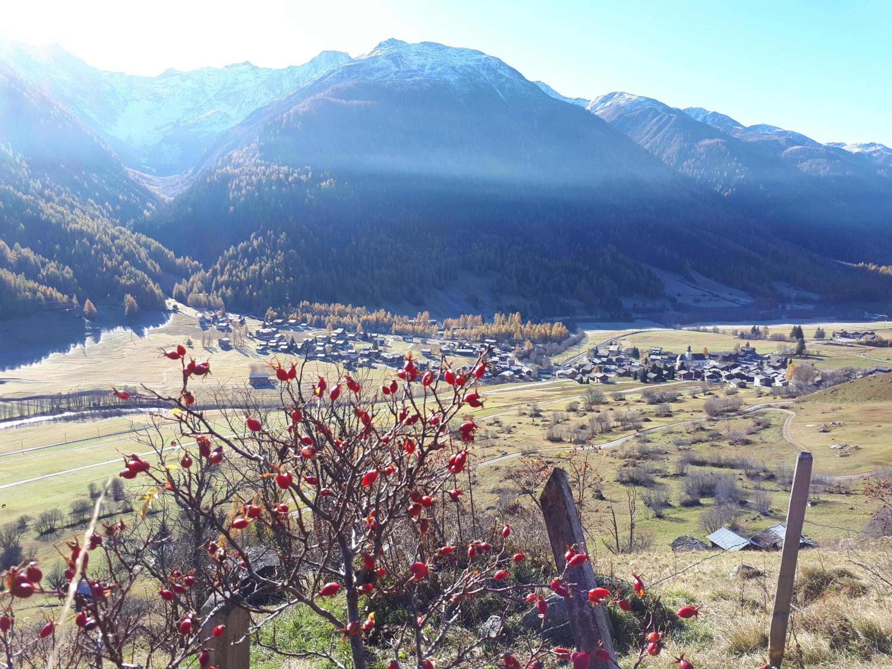 Alpensonne