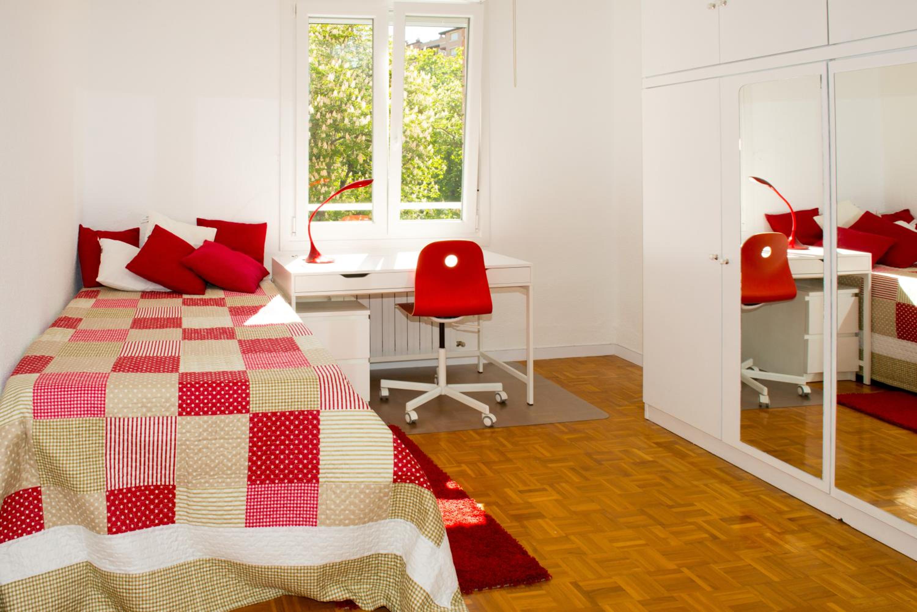 Parque del Carmen photo 4